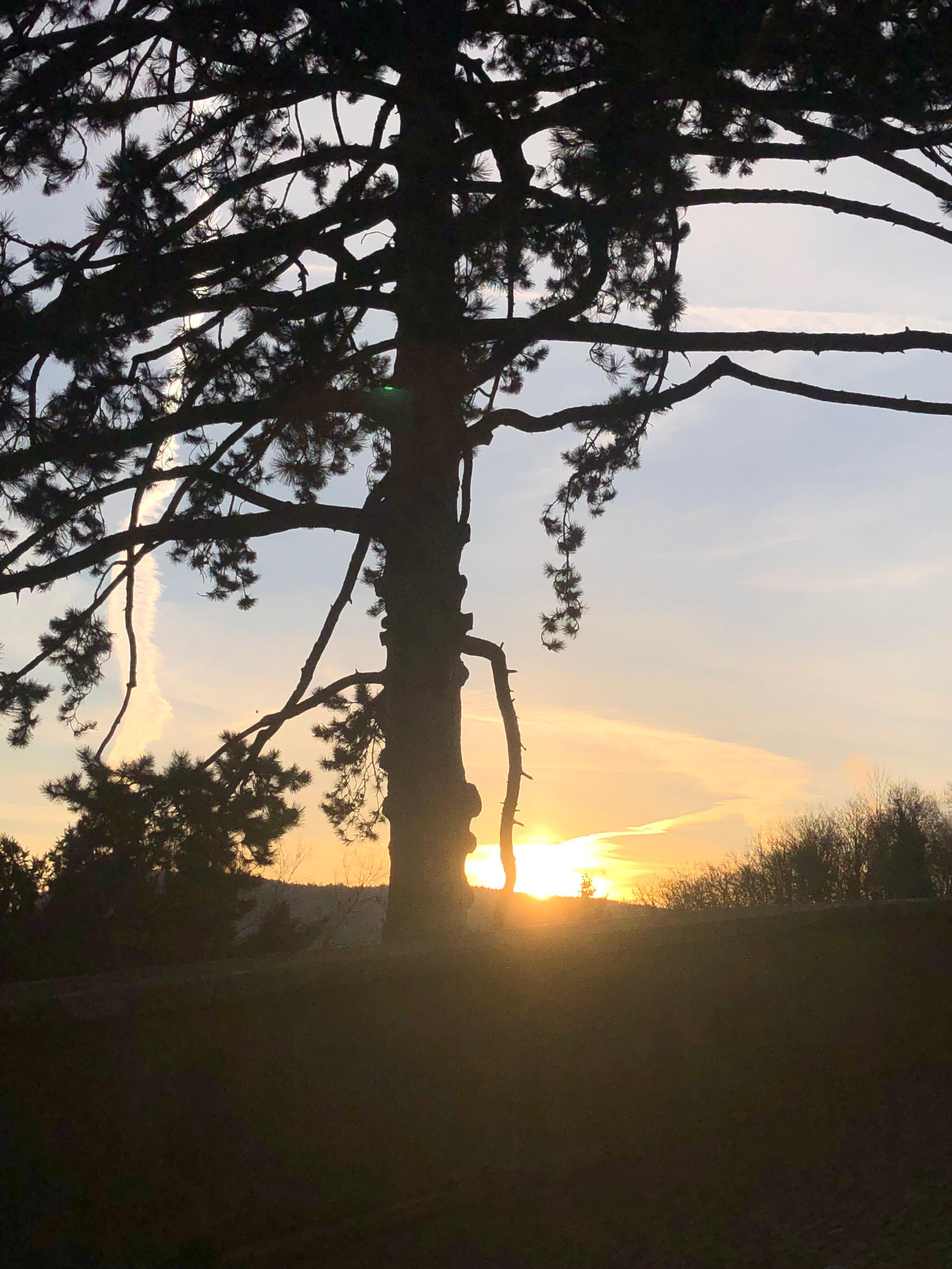 Marco Polo Business Apartments - Brugg