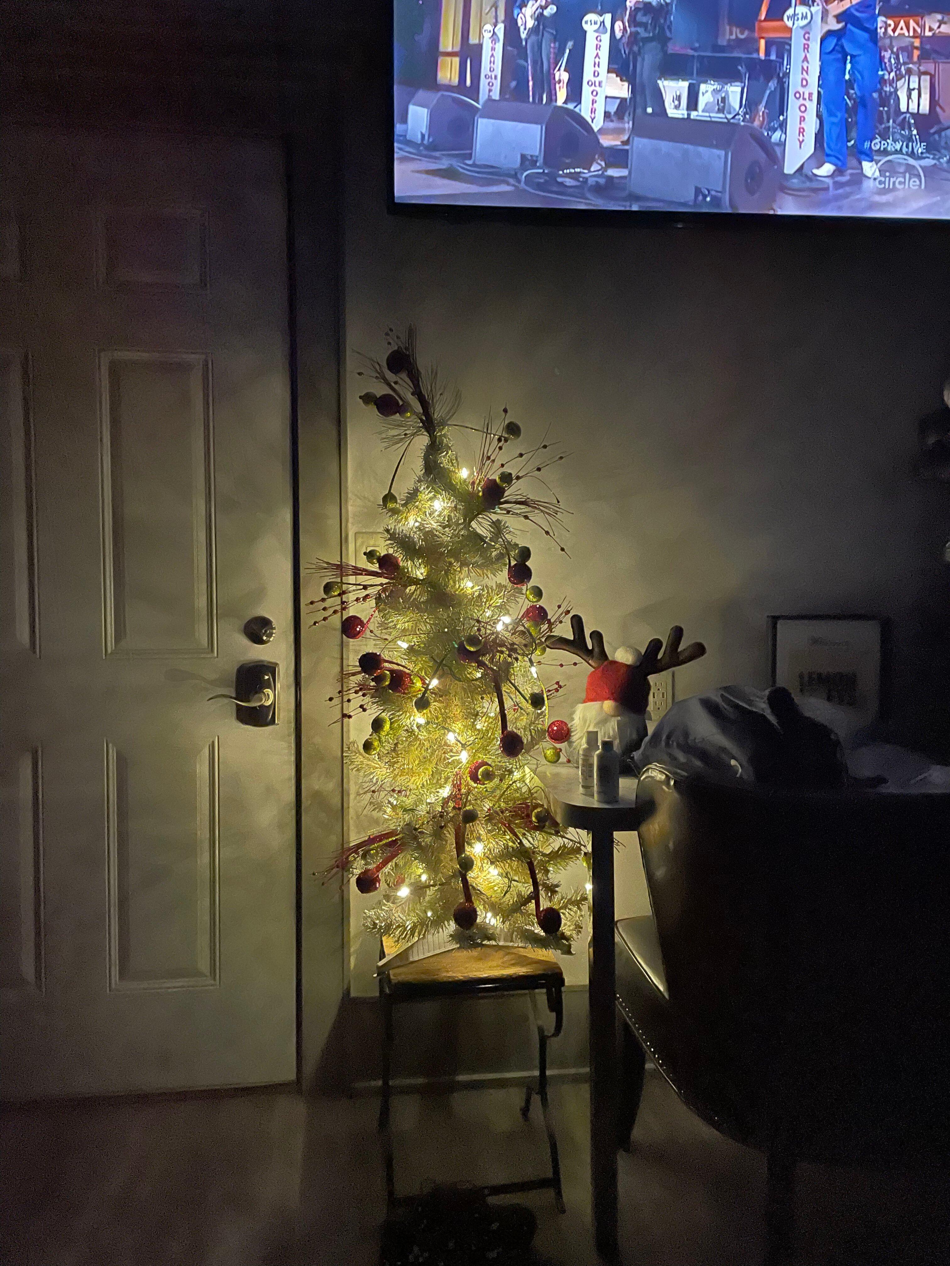 Photo by codicameron