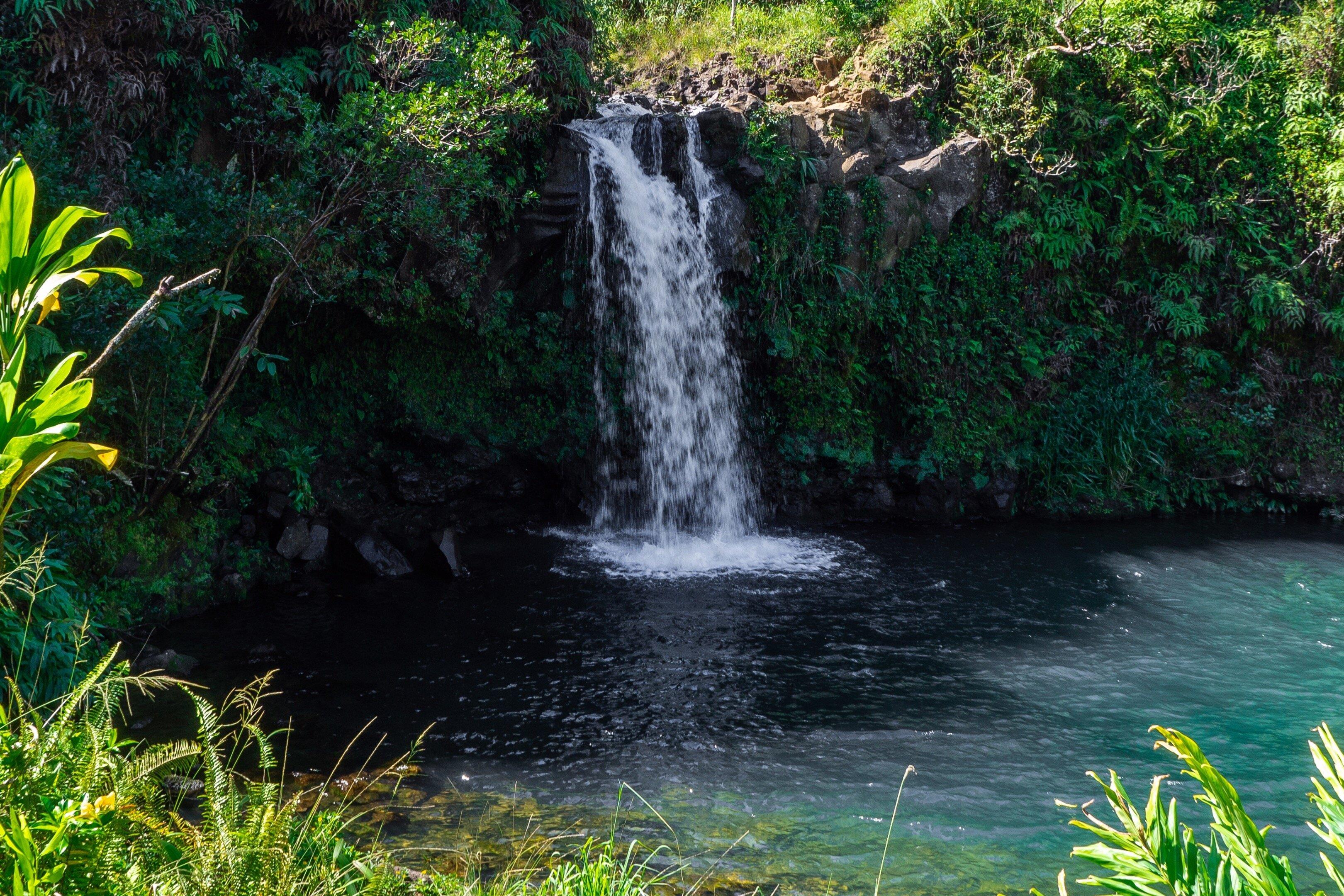 Waterfall Hike & Chocolate Tour! "Voted Best Of Maui" A Super Easy Hike Amazing Waterfall Views!