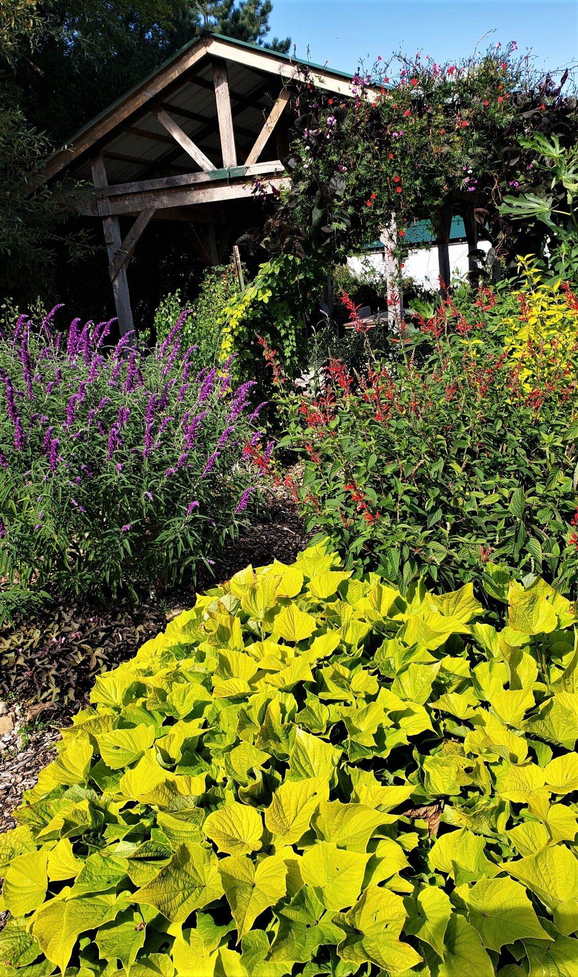 Mulberry Creek Herb Farm