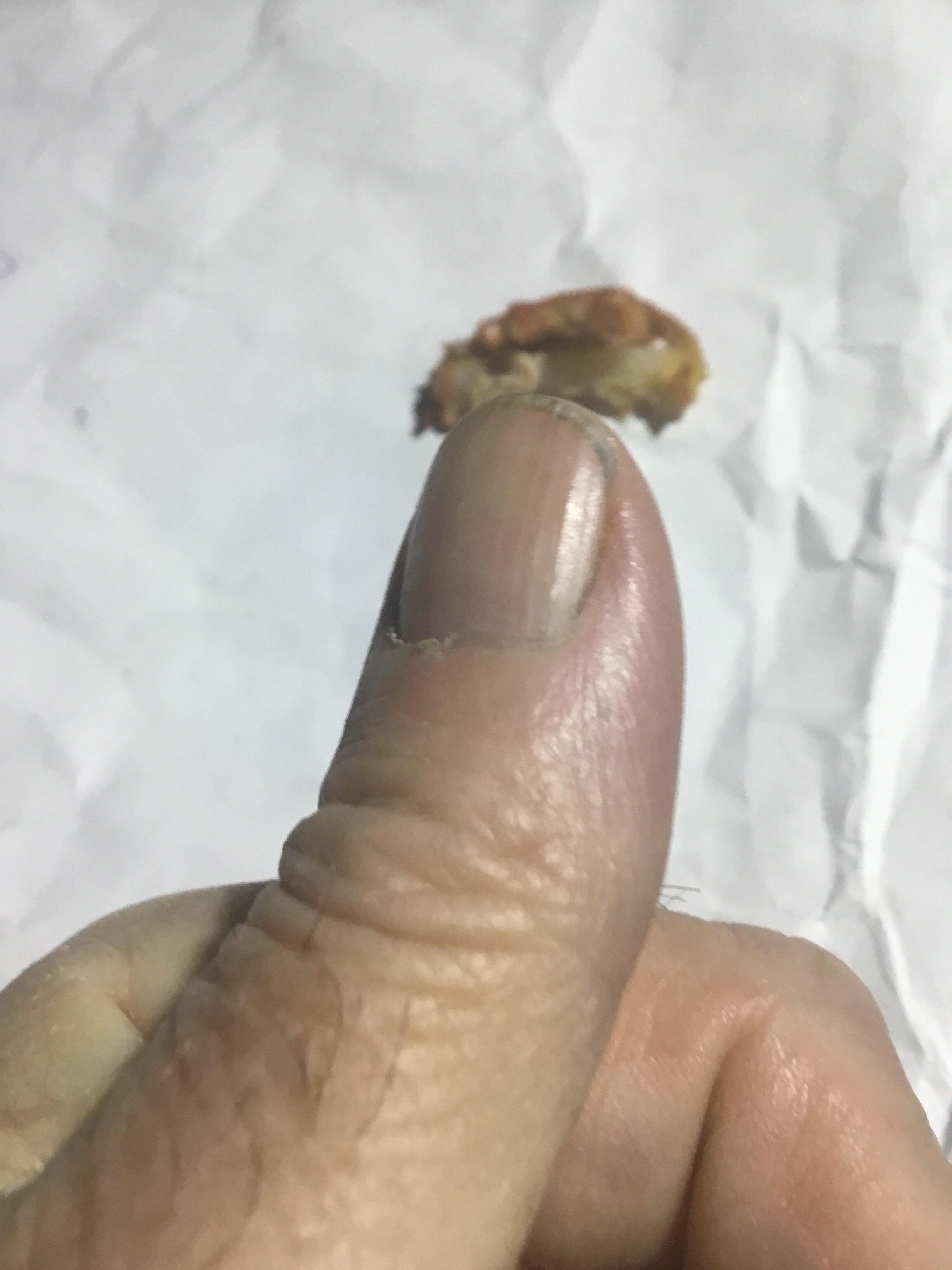 Phoenix Chinese Takeaway