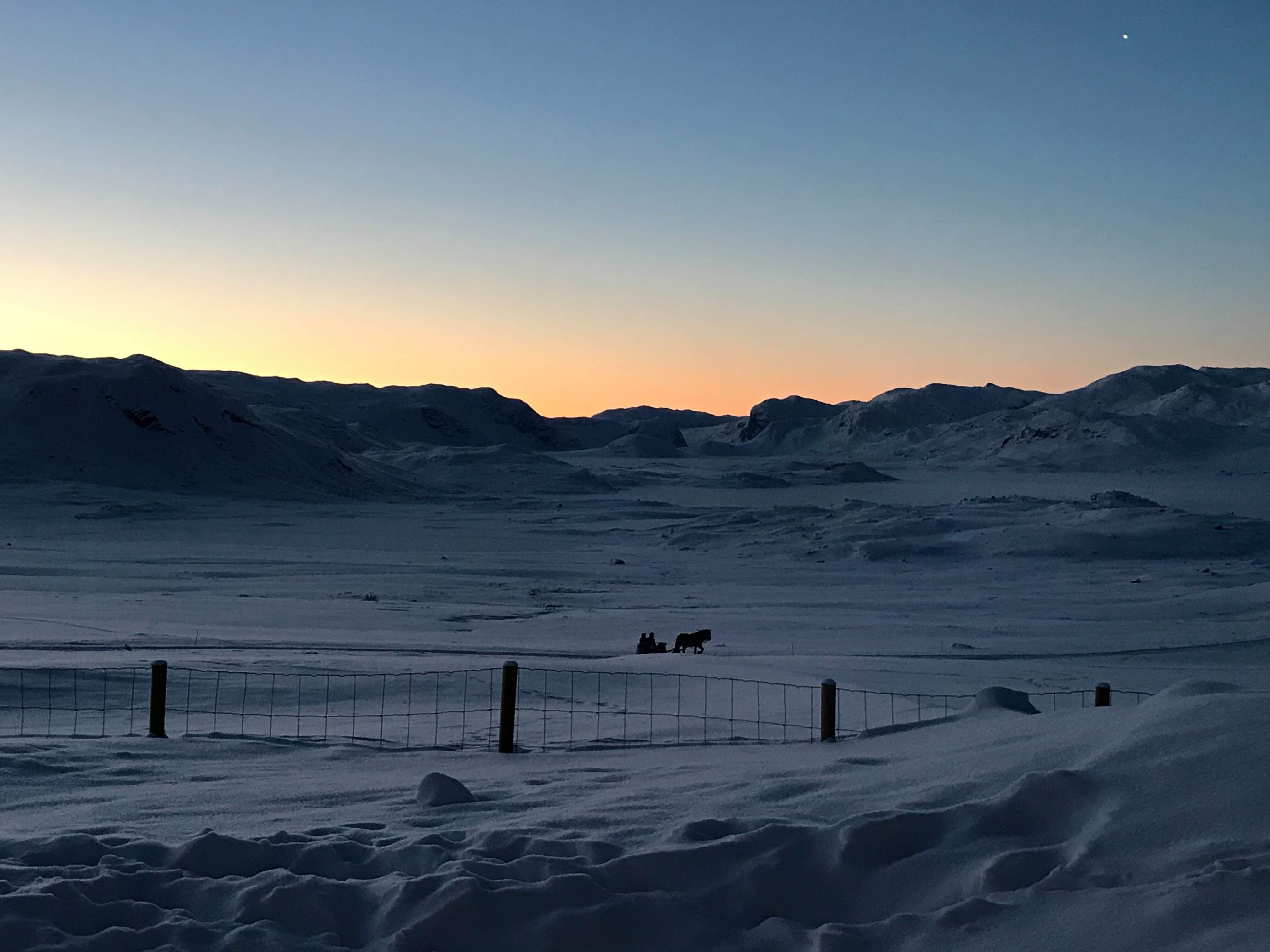 Gjeldokk Hestesenter