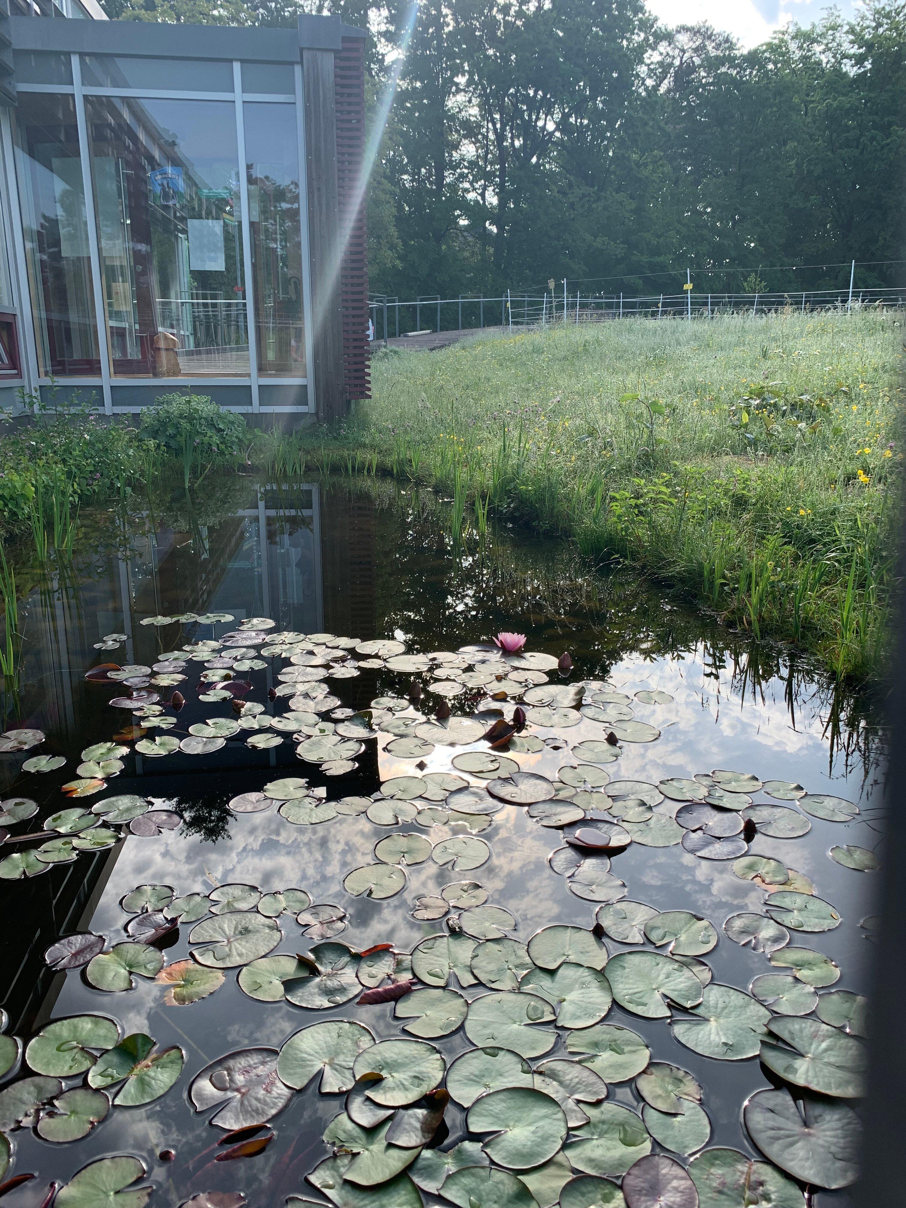 Haus der Nachhaltigkeit Johanniskreuz