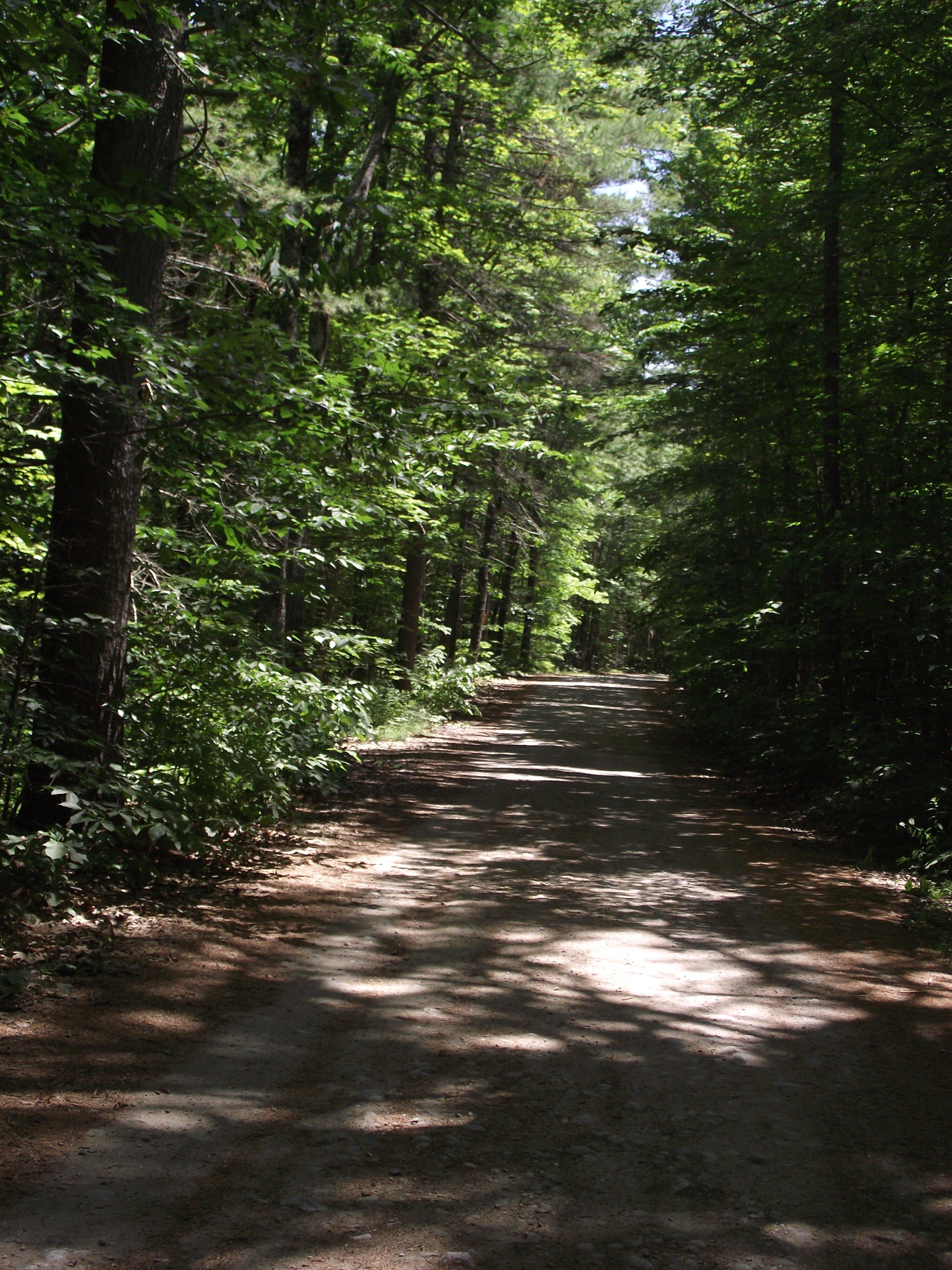 Mountain Division Trail