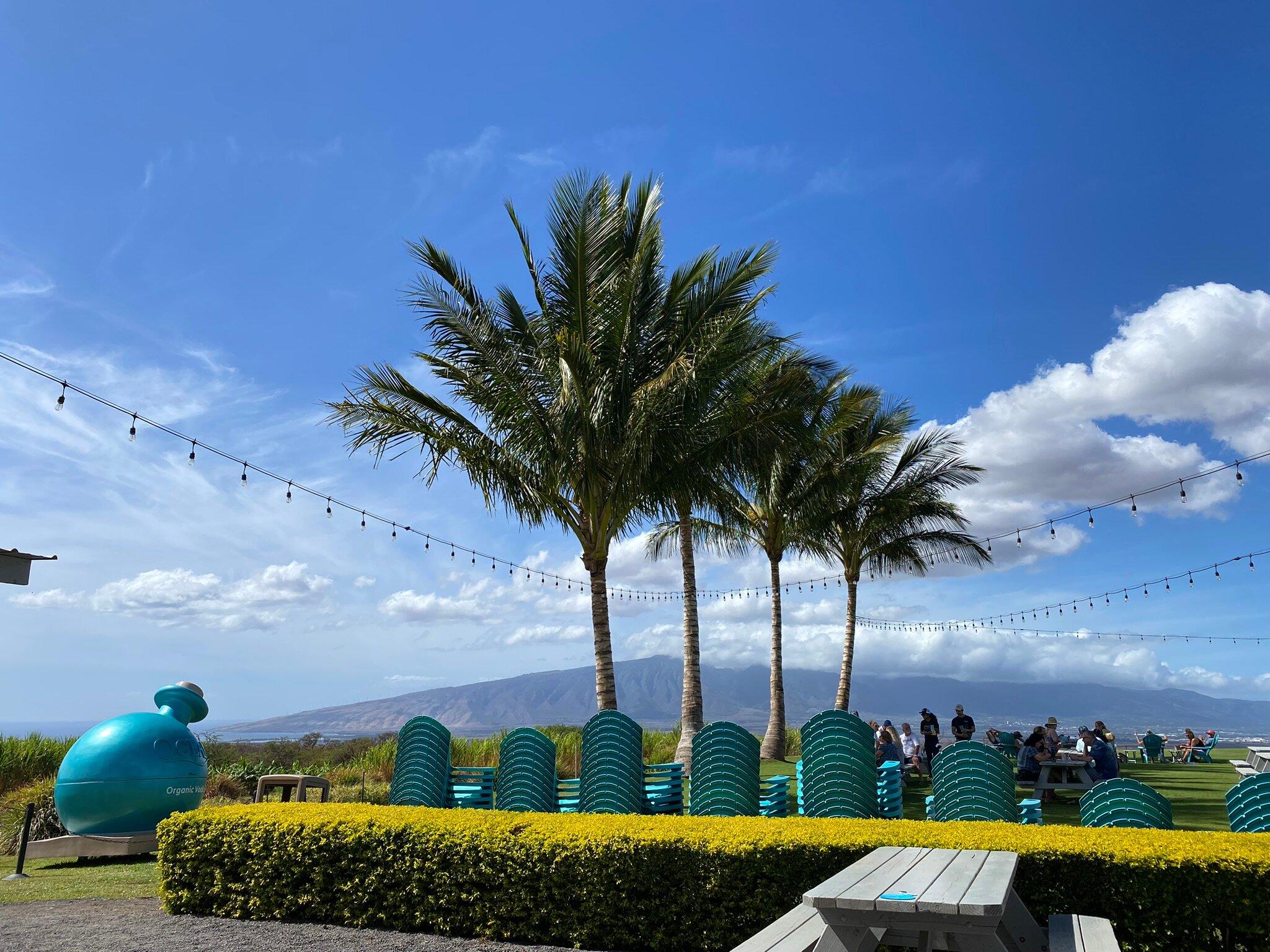 Photo by reedmangreg