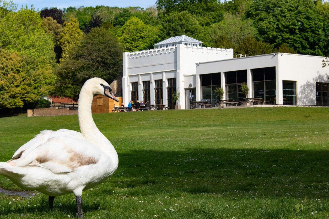 Kearsney Abbey Café