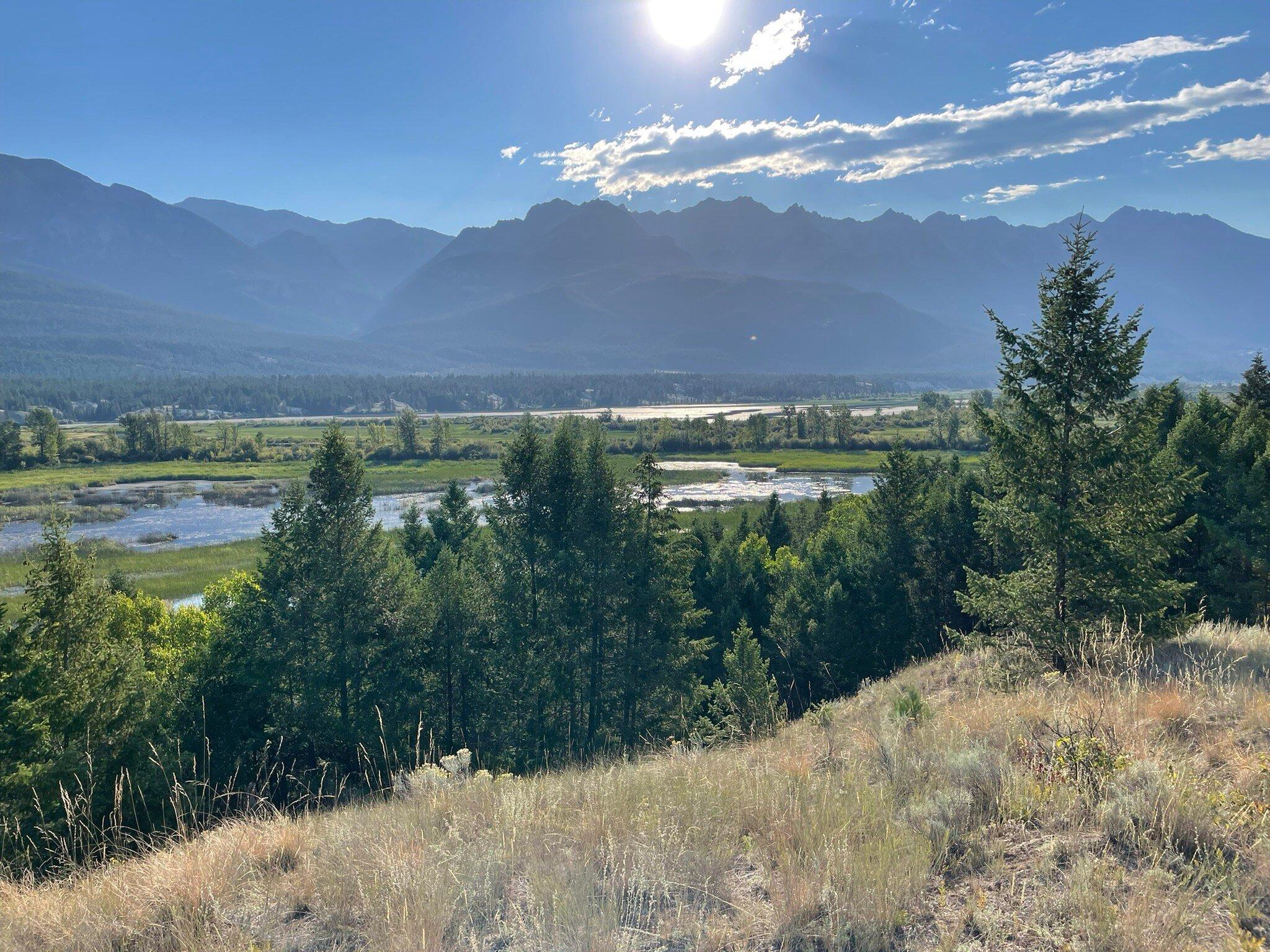 Columbia Wetlands Viewpoint Trail