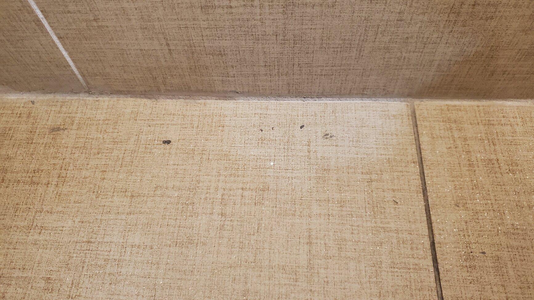 Comfort Suites West Monroe Near Ike Hamilton Expo Center