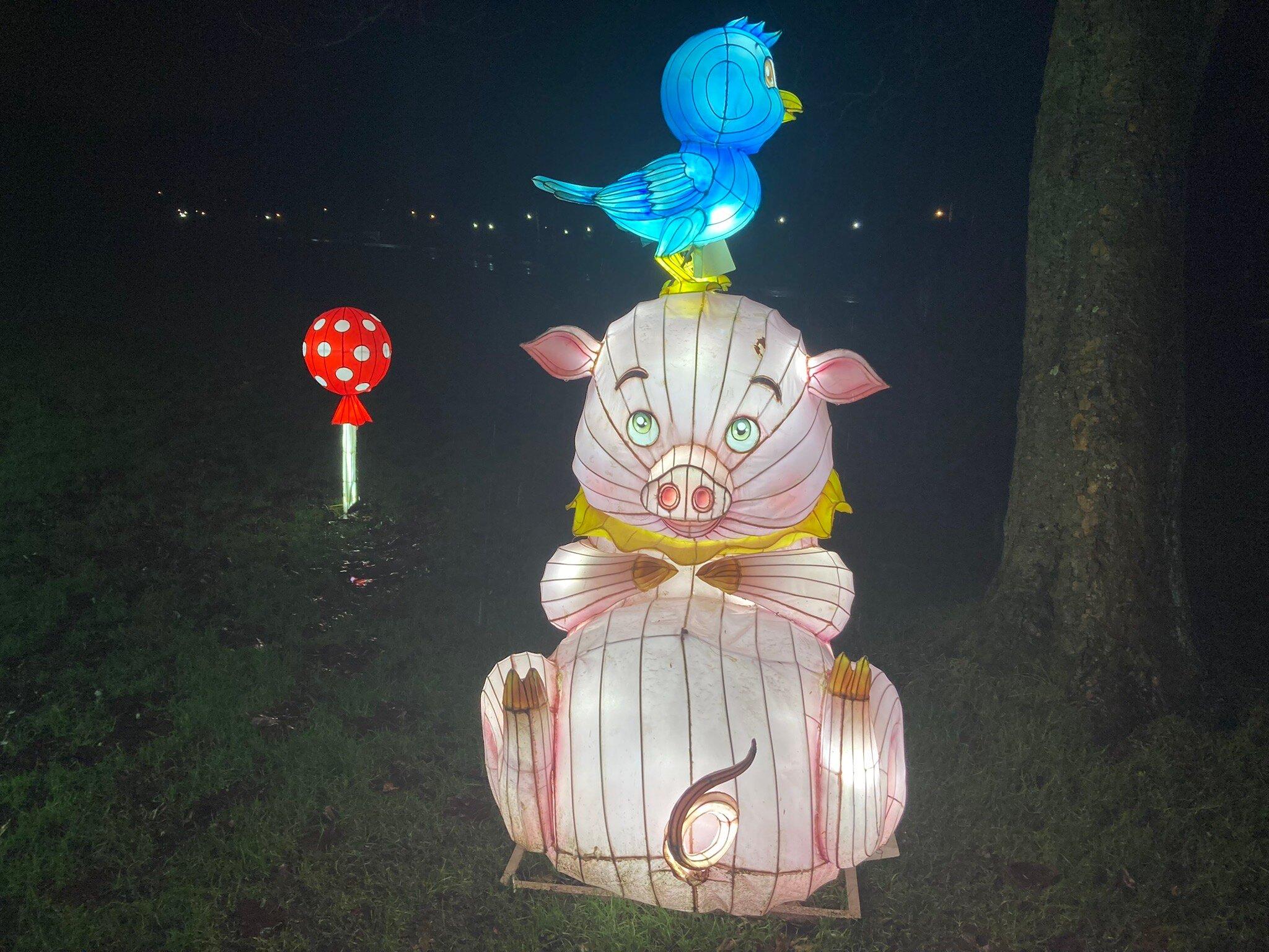 Lightopia Manchester