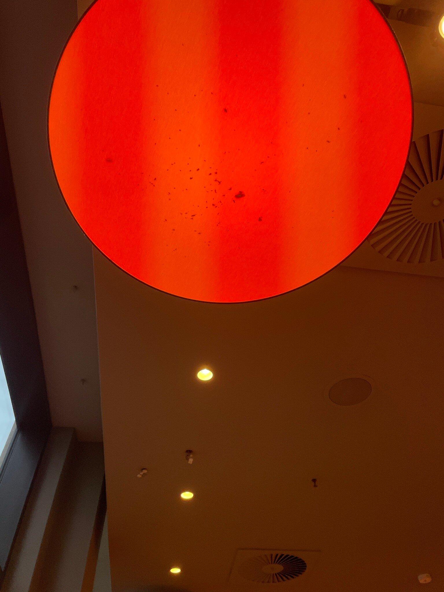 Photo by H7522EFjulians