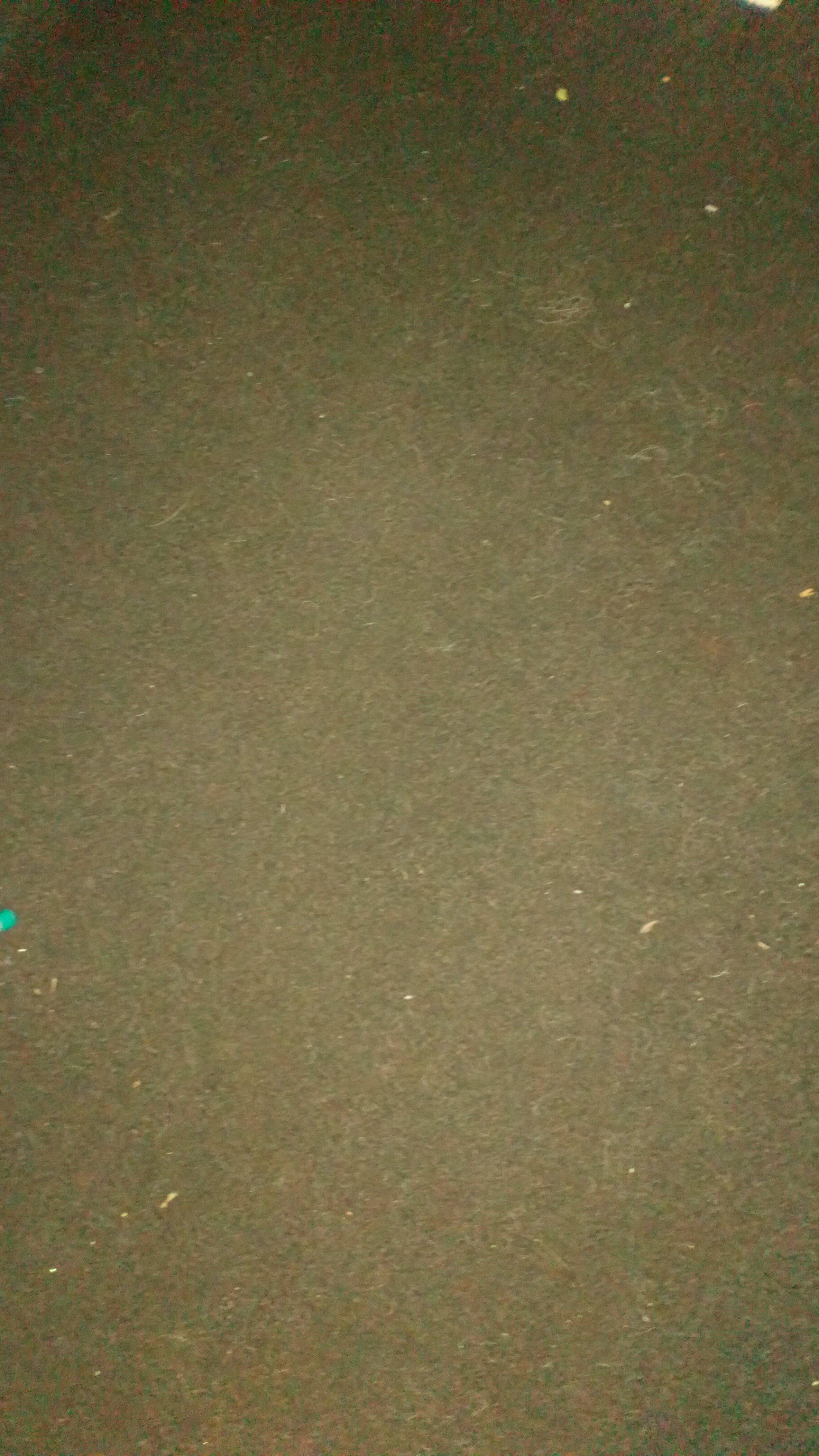 Photo by lynnerogers124