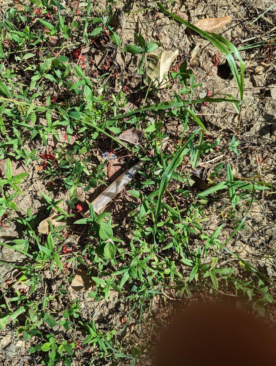 Gallina E Palo Beachfront Hotel