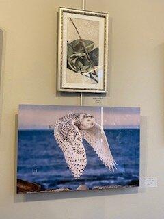 New Hampshire Art Association