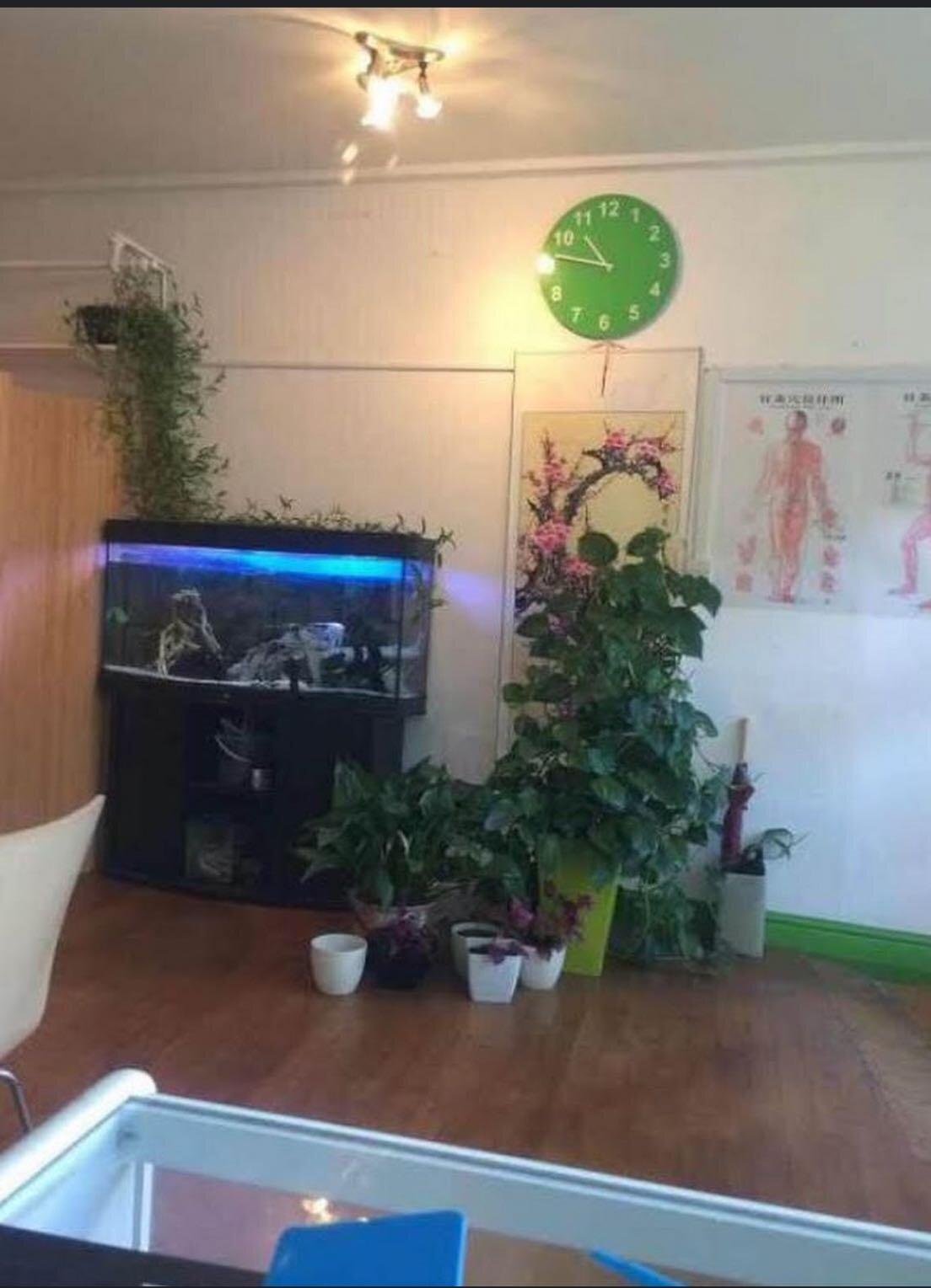 Photo by lindalS3108NH