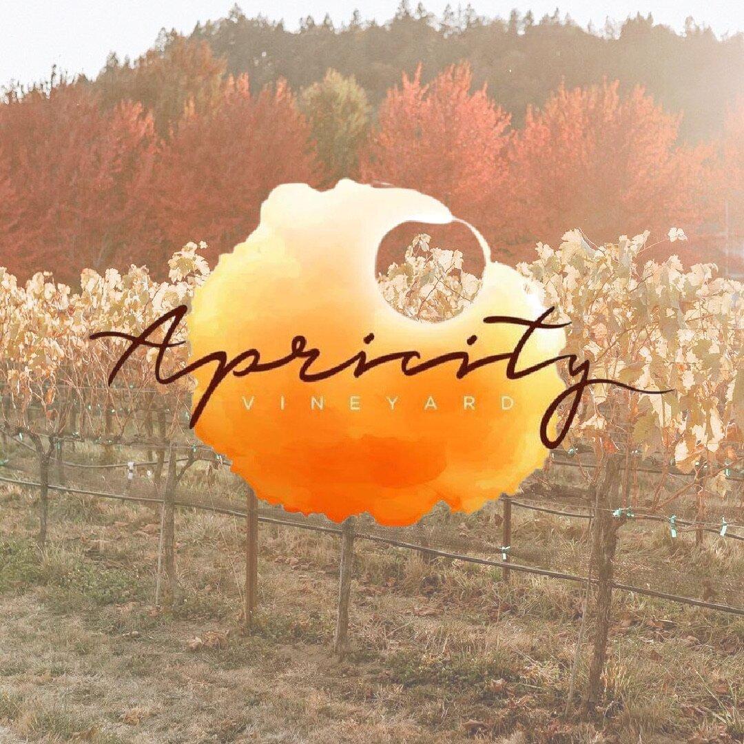 Apricity Vineyard