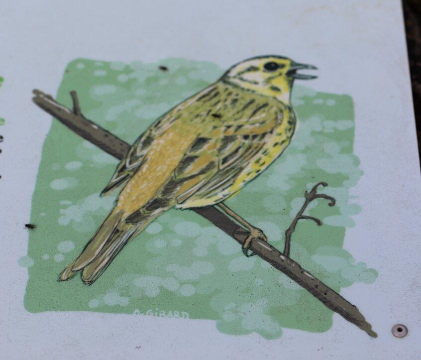 Sentier de Découverte du Mont Avril