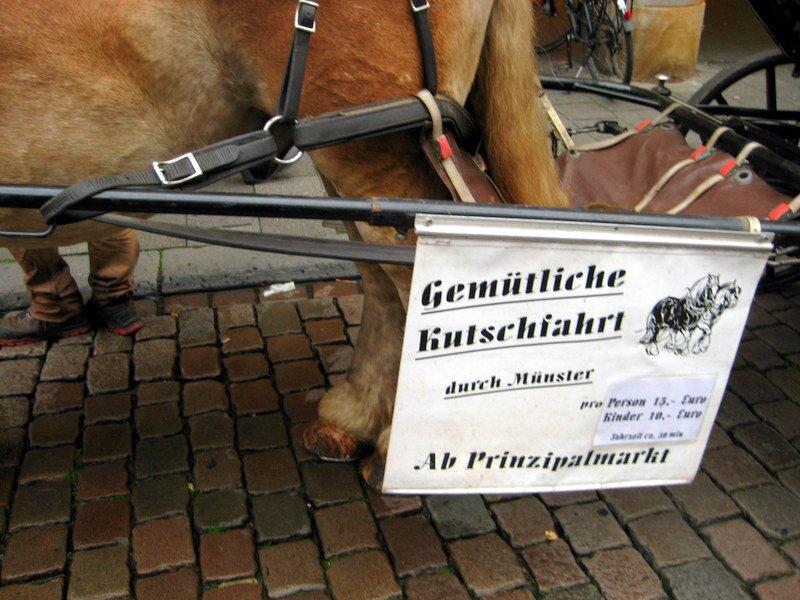 Kutschfahrten für Alle UG