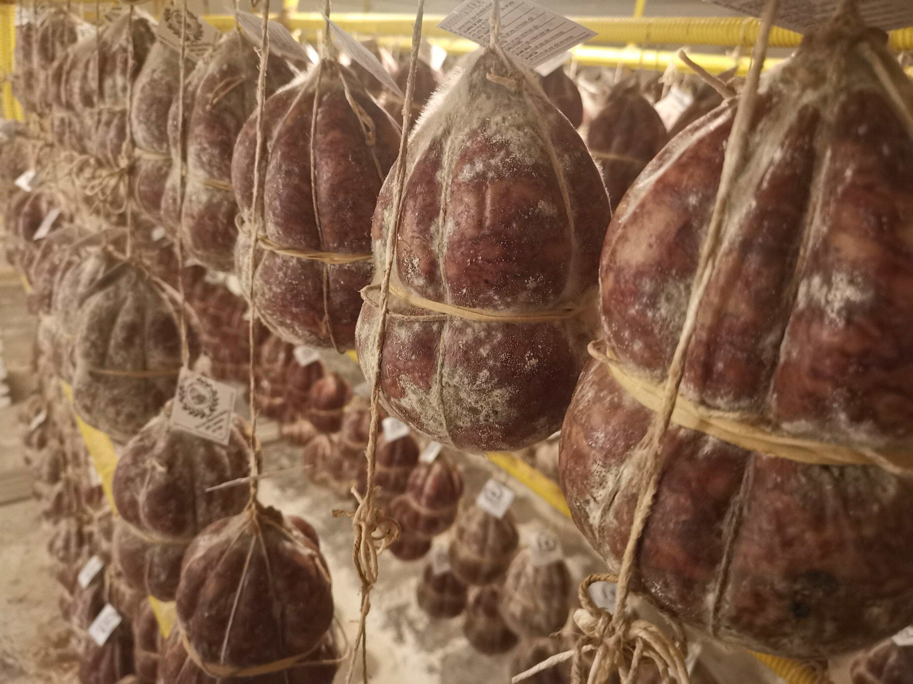 Sagra della Salama da Sugo