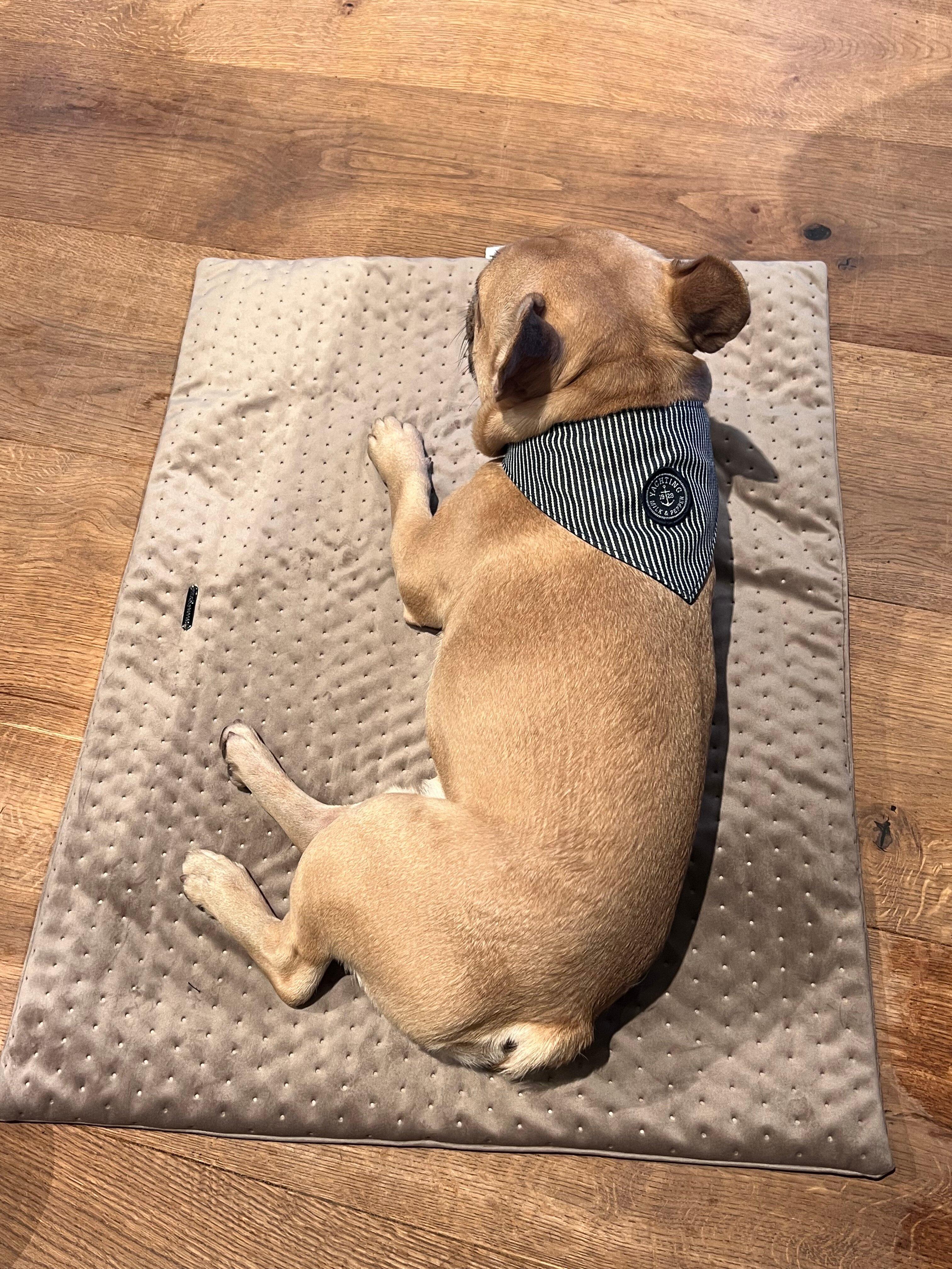 Hafenfreunde Café Bar