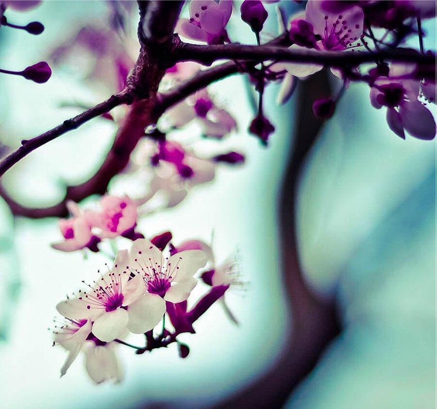 Zense Amsterdam Bedrijfsmasssage