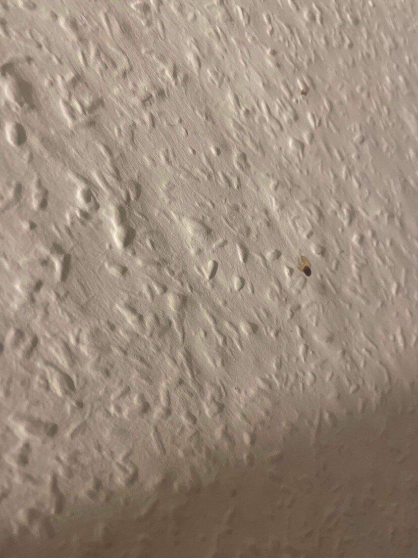 Photo by Colsternator78