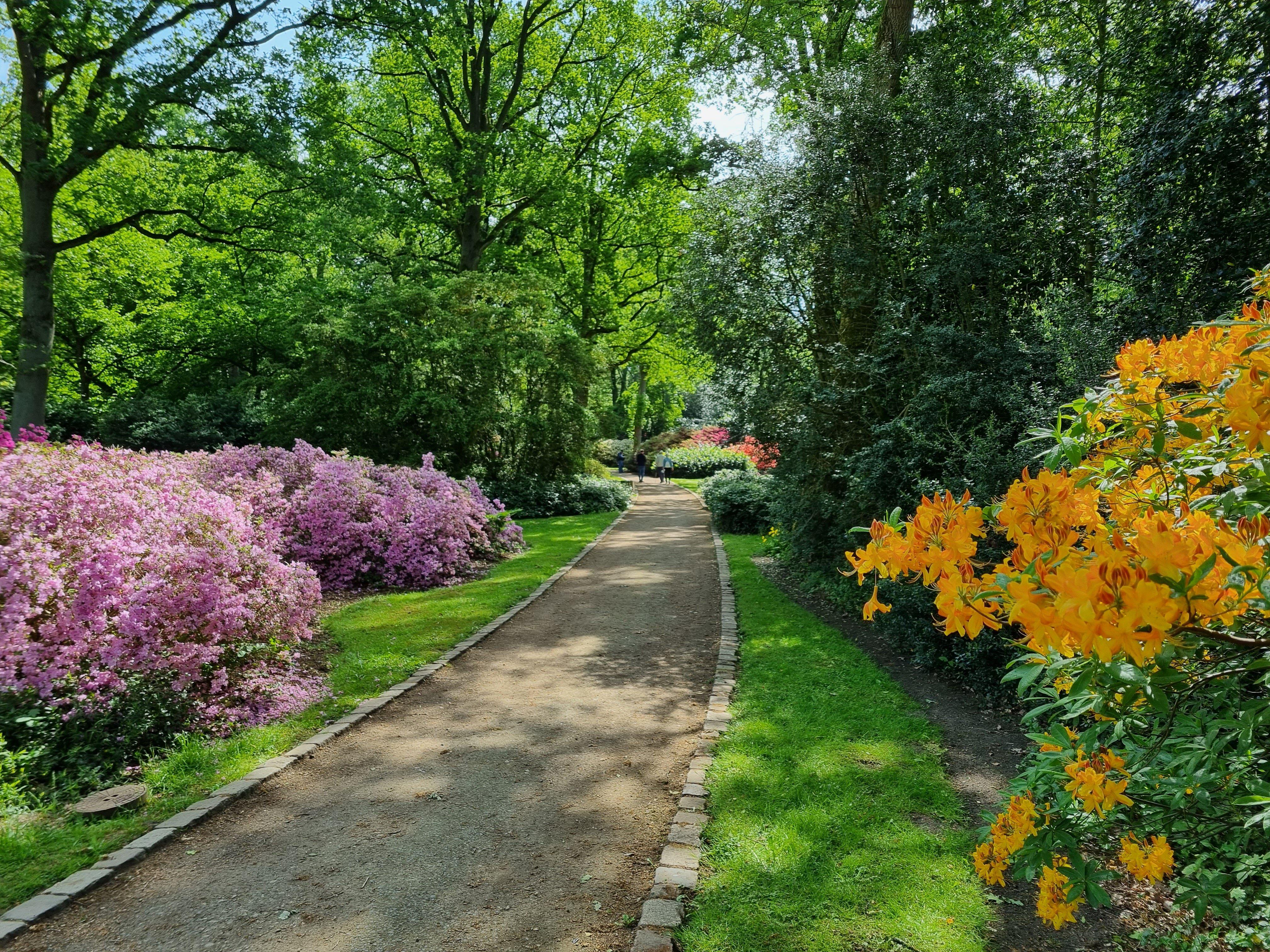 Rhododendron-Park Bremen