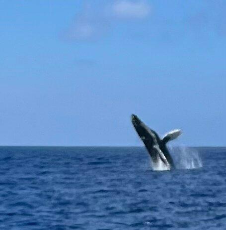 Salty Squid Charters