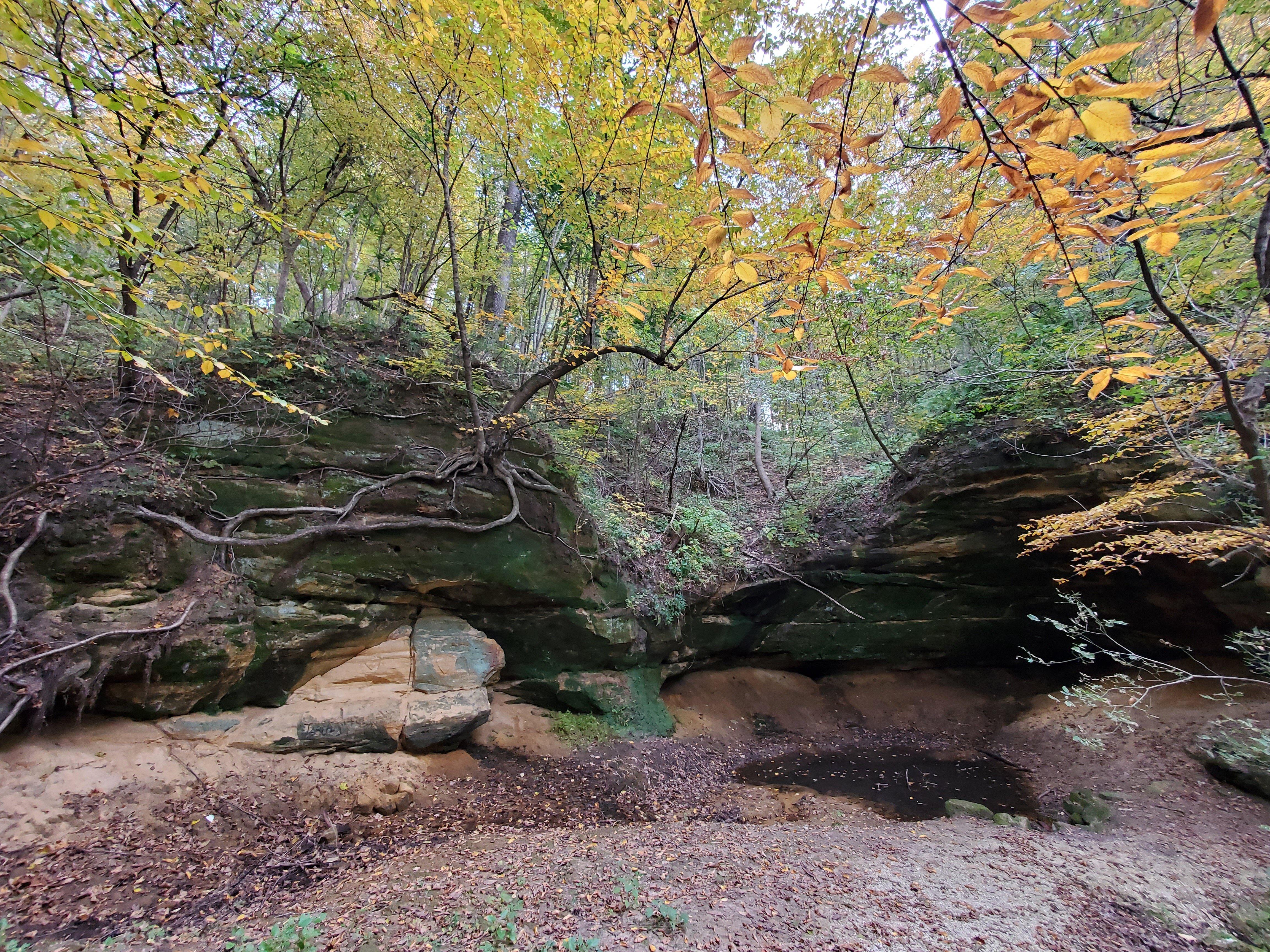 Photo by AndrewFromMadison