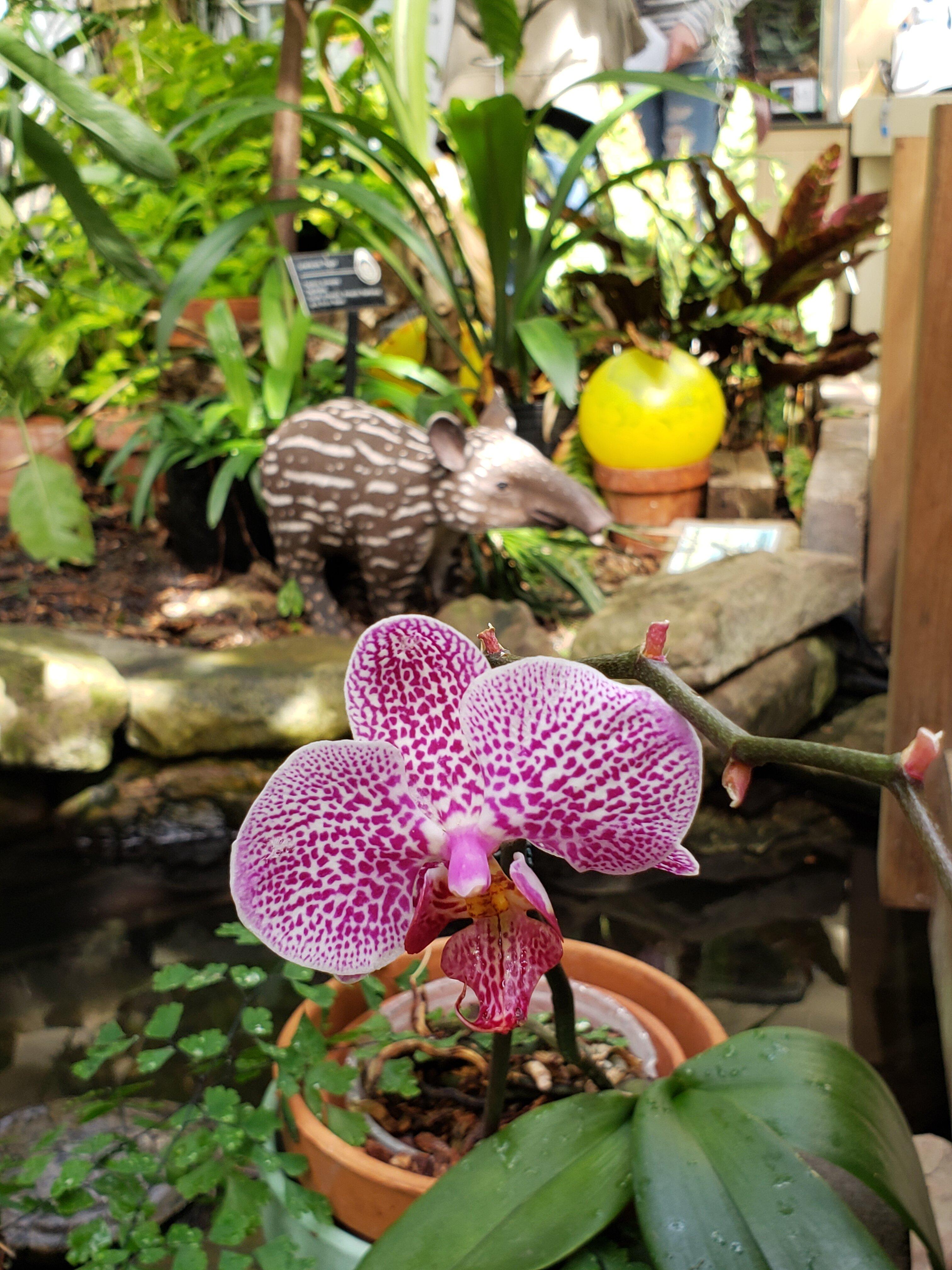 Photo by U3710VYjacobh