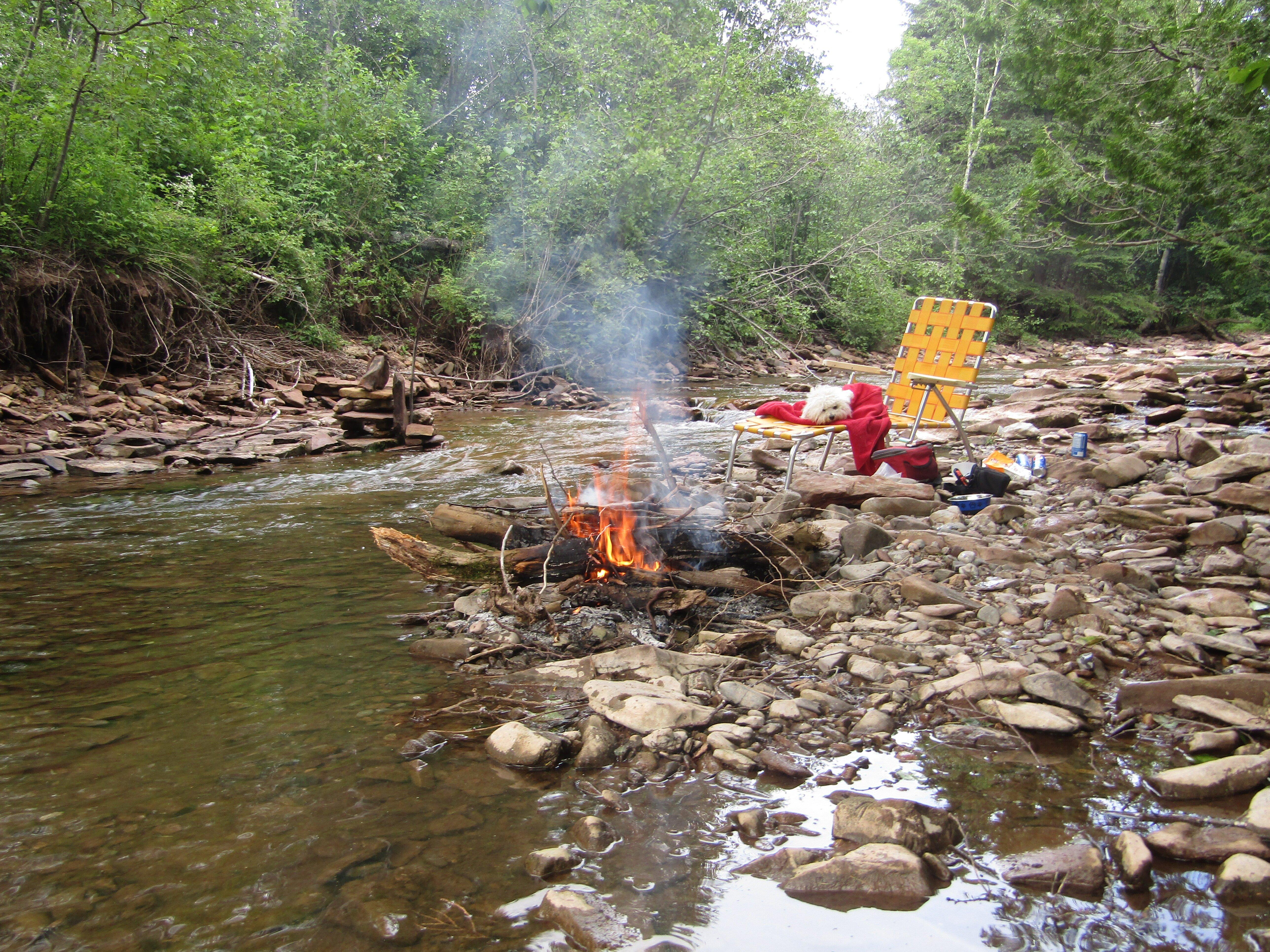 Poissonnerie La Coquille