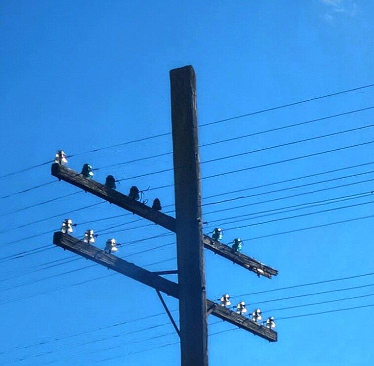 Photo by BoogieOogie1234