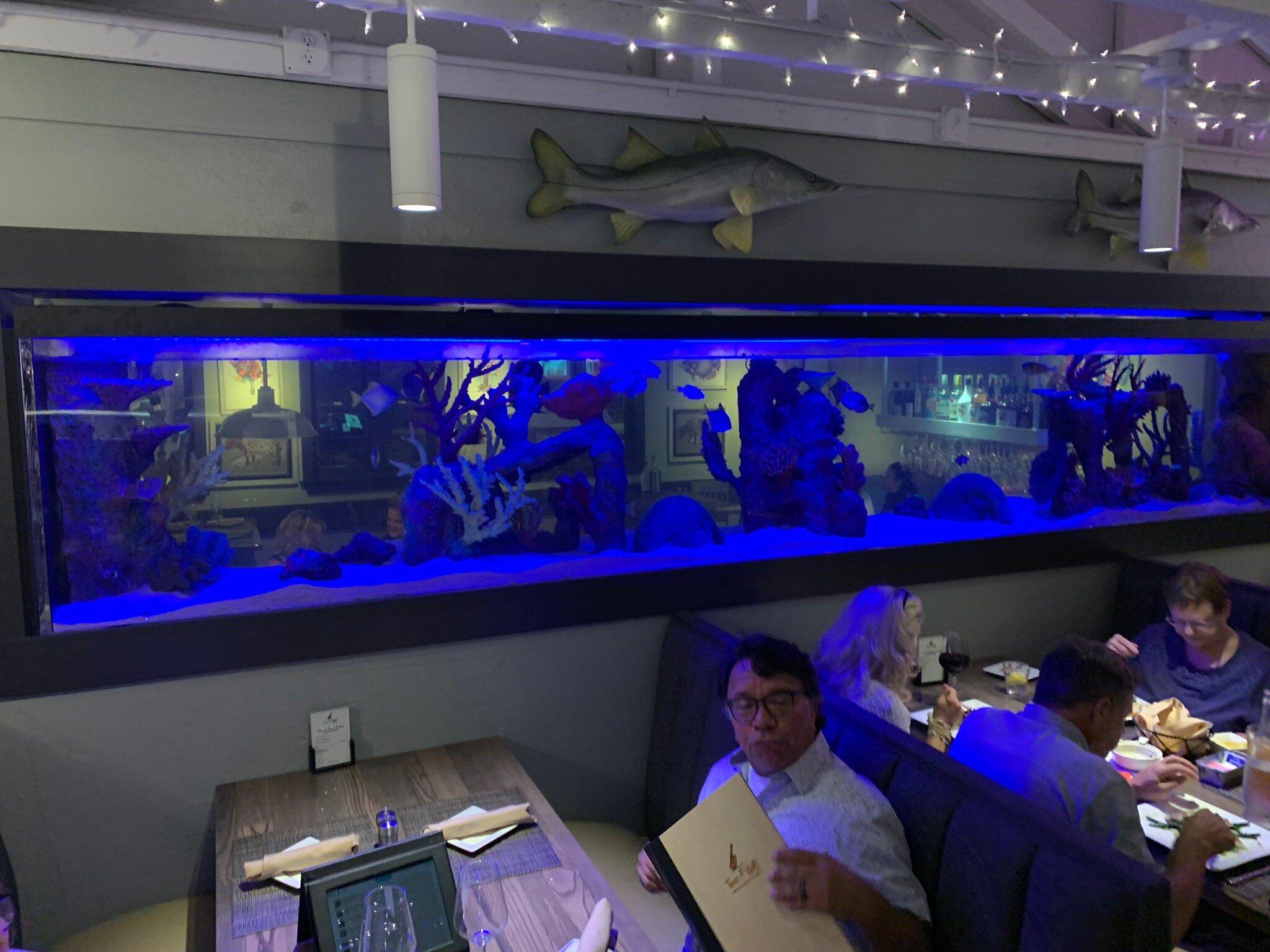 Photo by TonytheChin