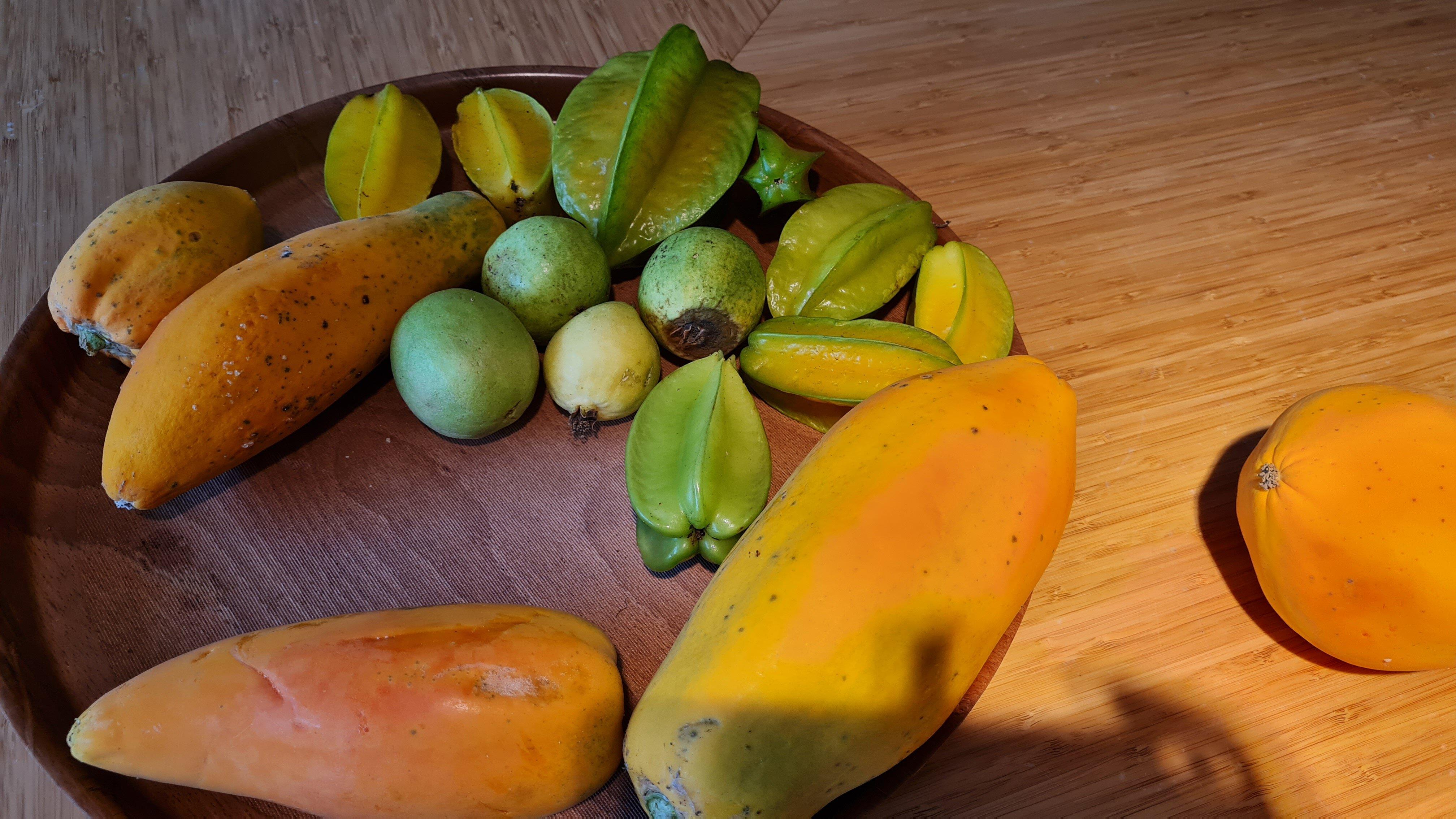 Tropenhaus Klein Eden