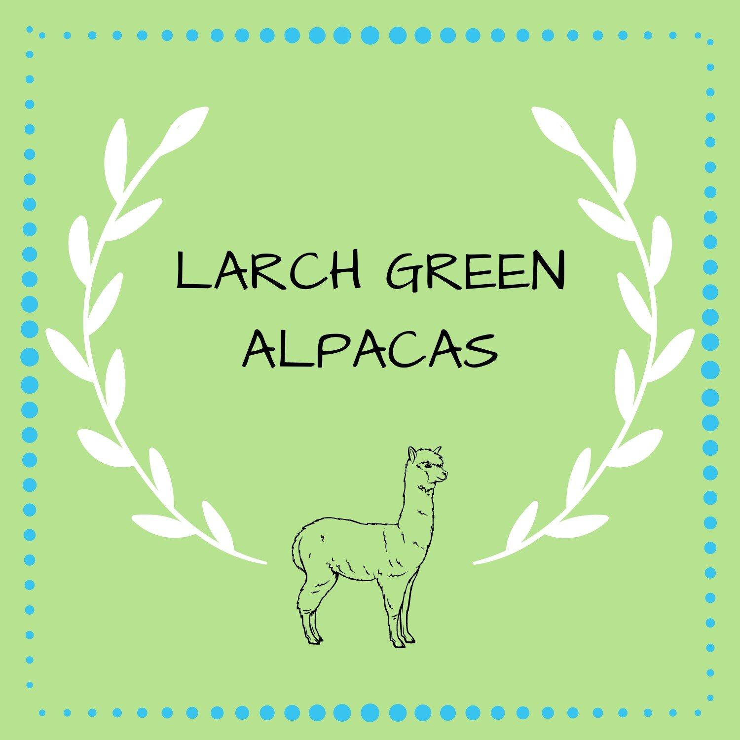 Larch Green Alpacas