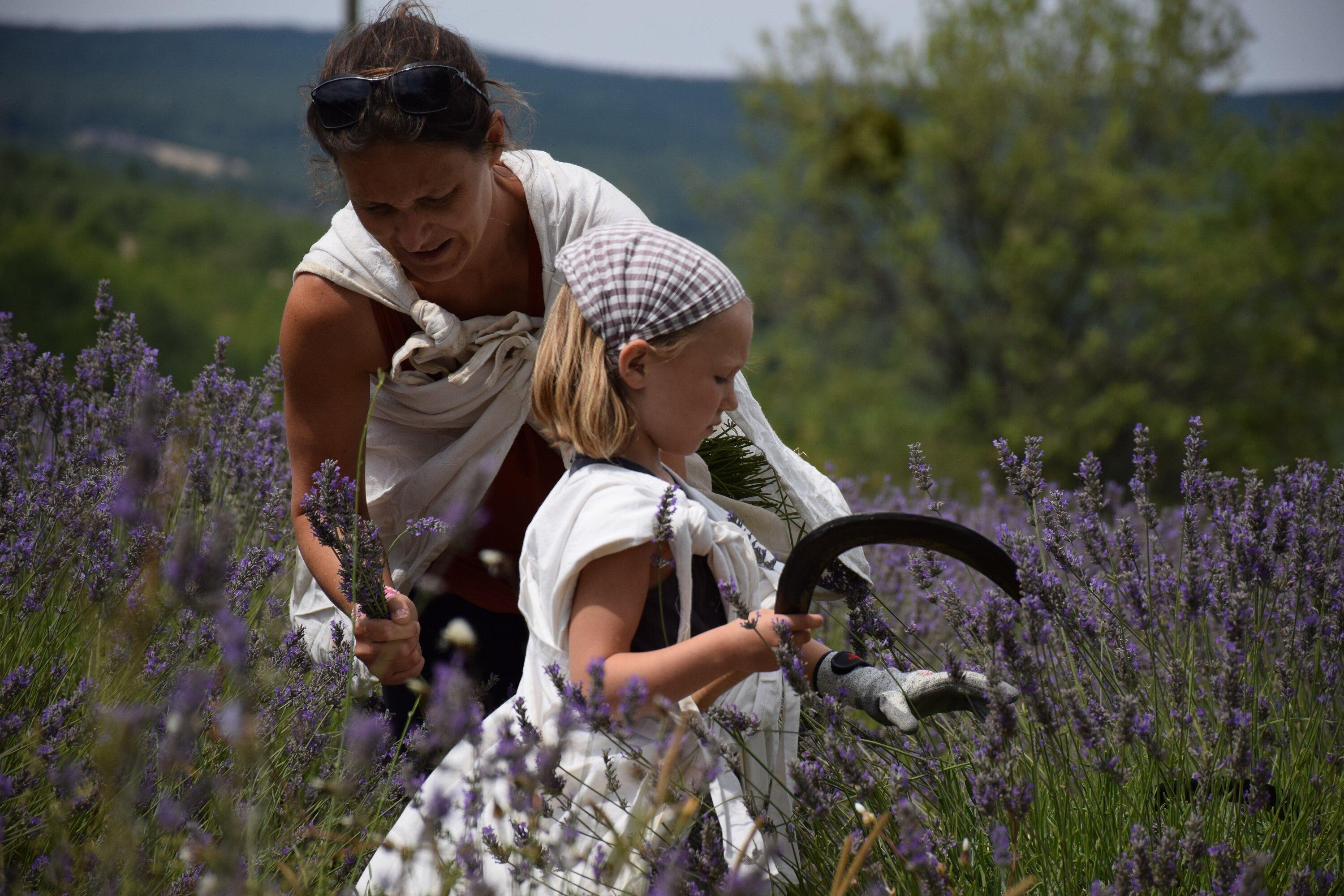 Aroma'Plantes Distillerie