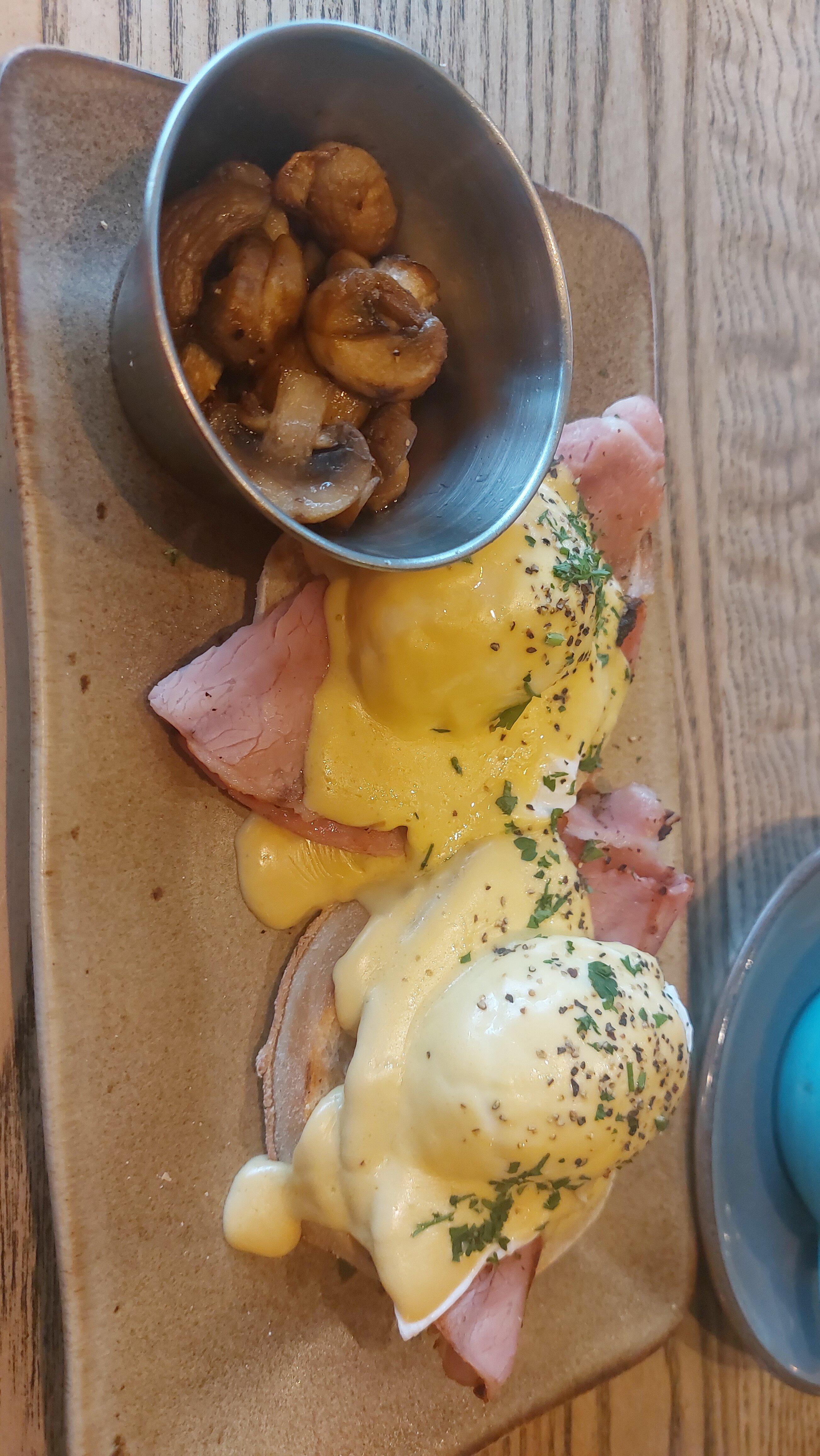 Photo by The_Hill_family_3