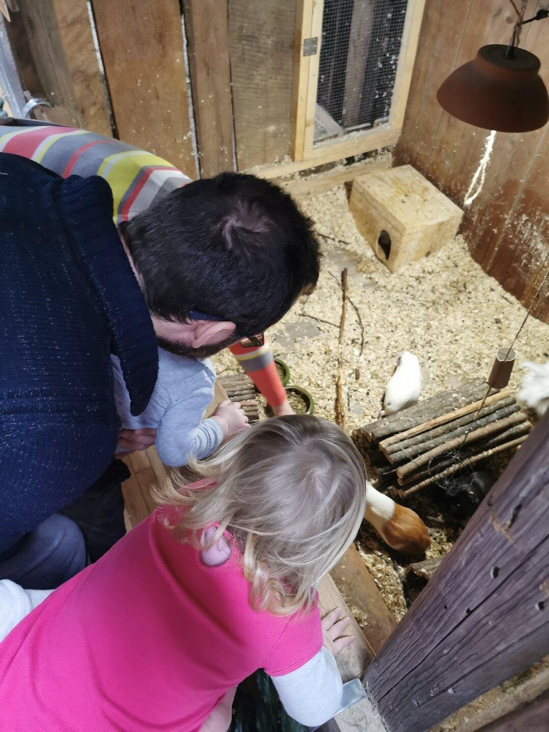 Photo by bogdanal507