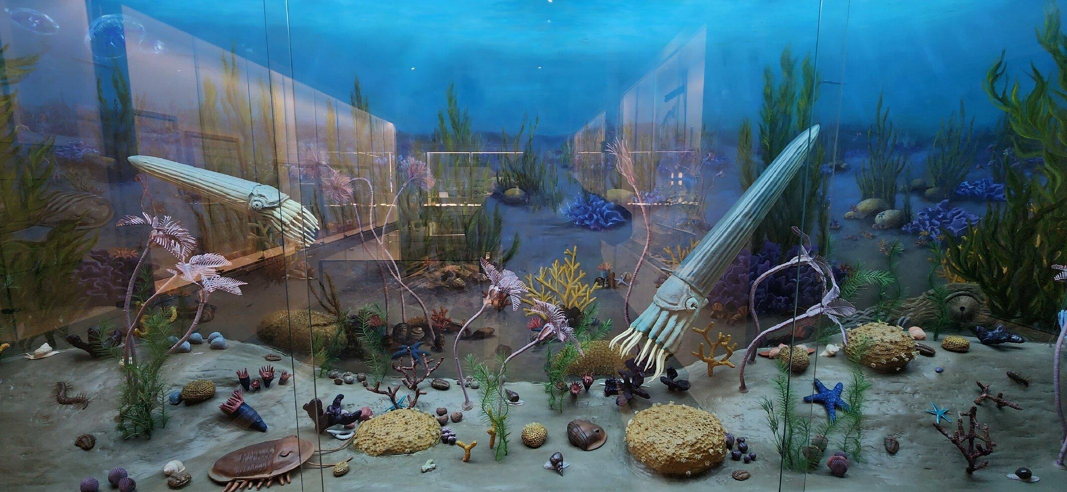 Limper Geology Museum