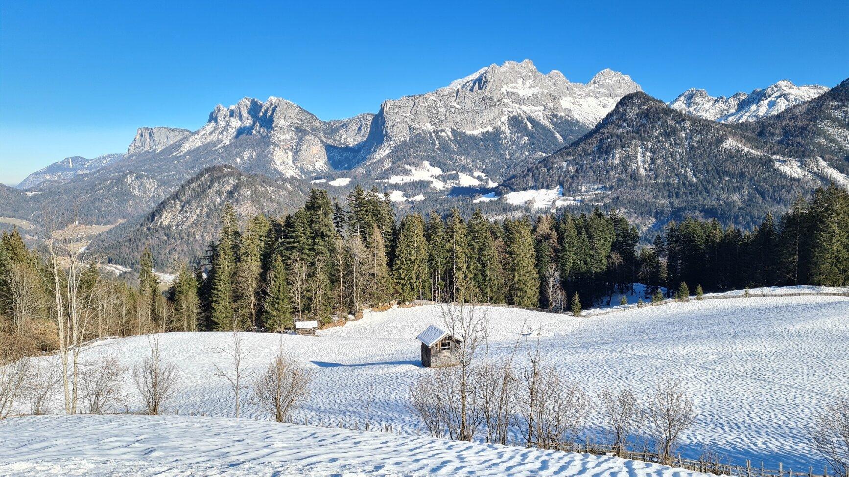 Photo by franksB4455FD