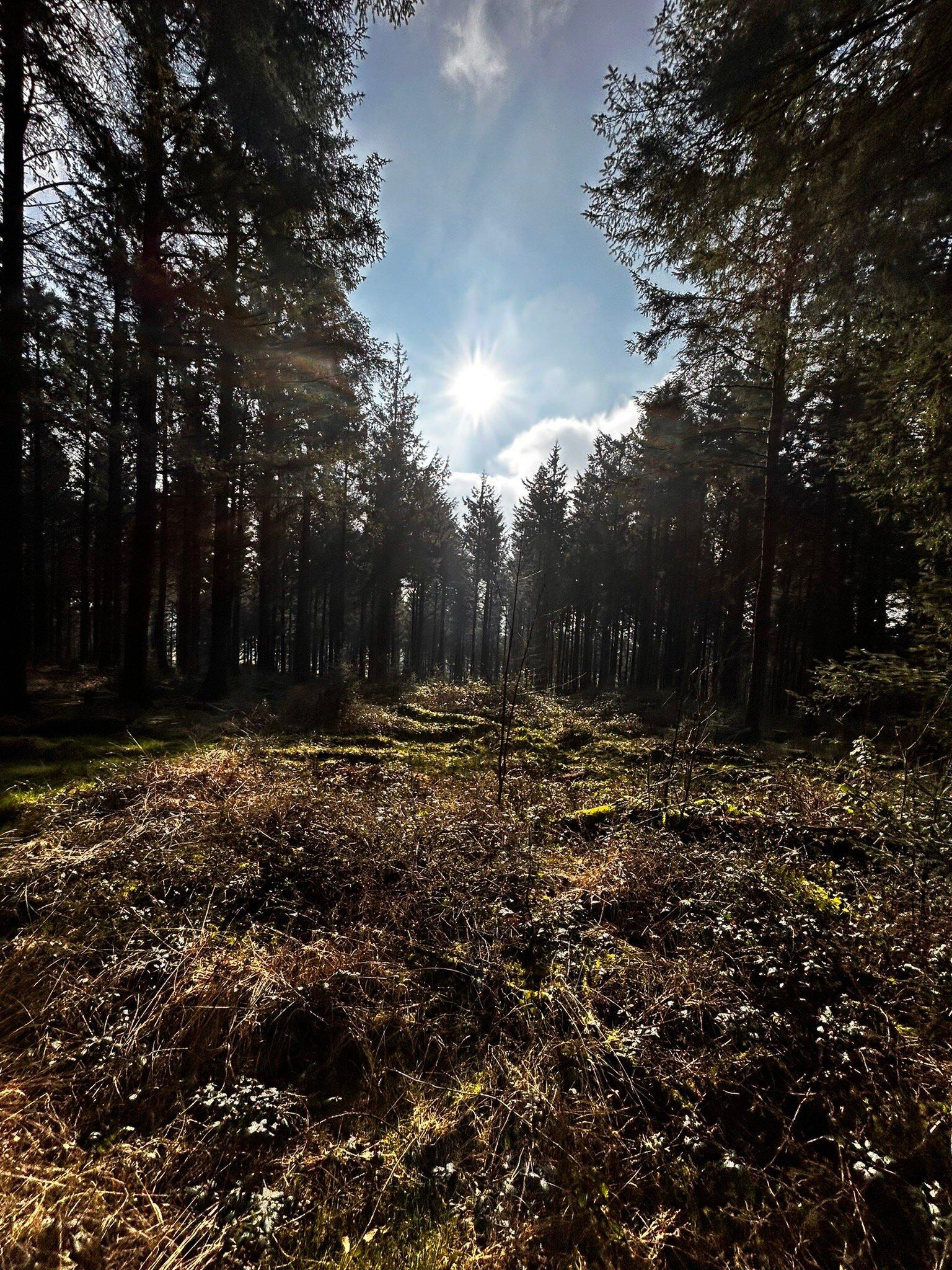 Breaden pony trekking