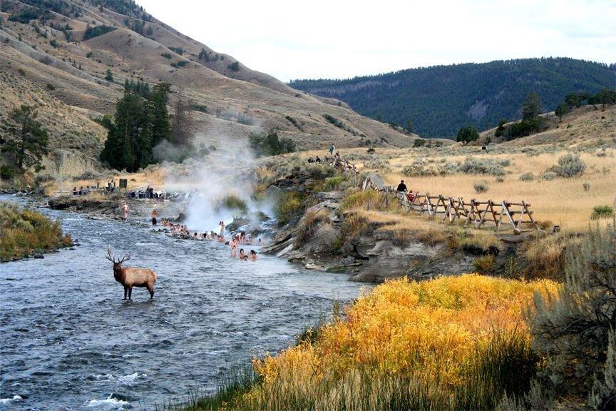 Yellowstone Family Adventures