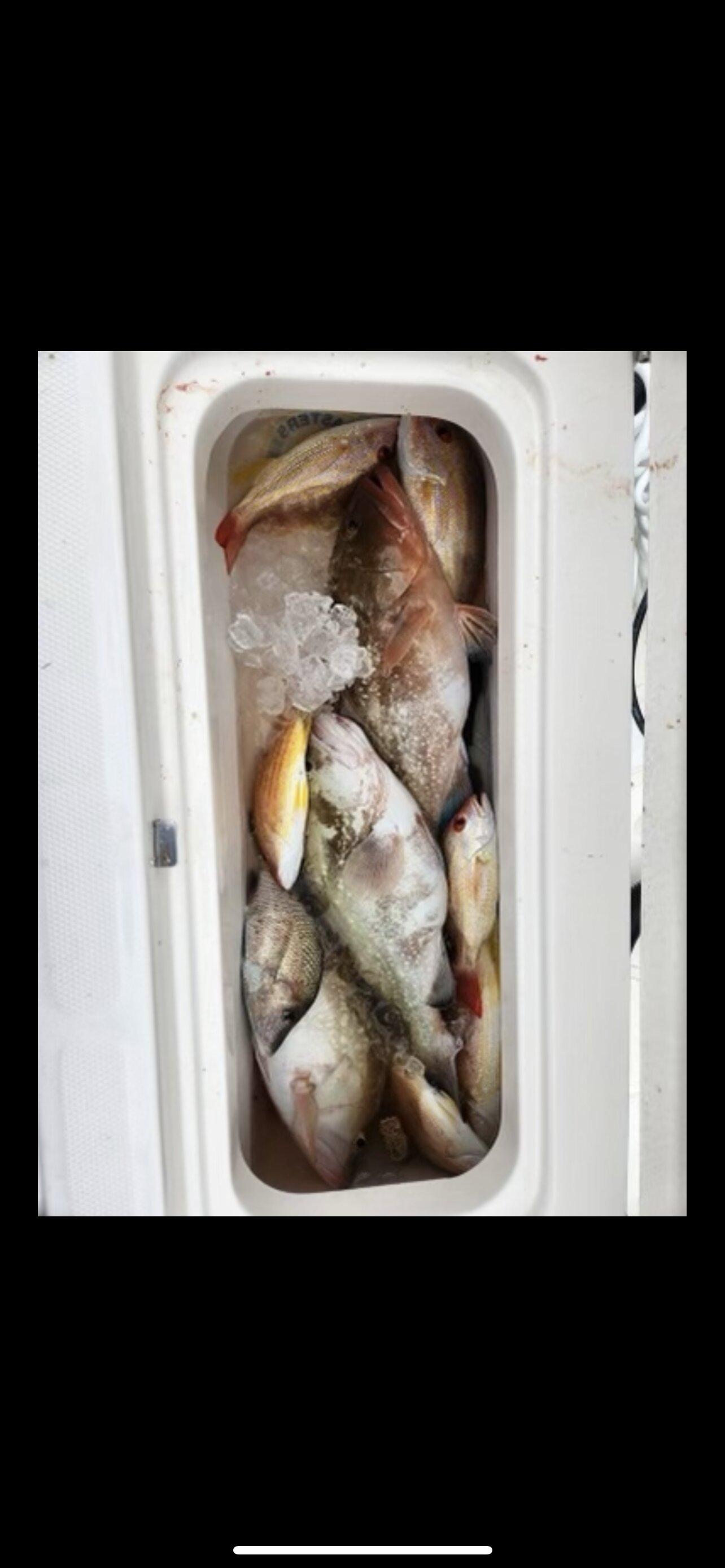 Photo by Y7305ZCstevenm