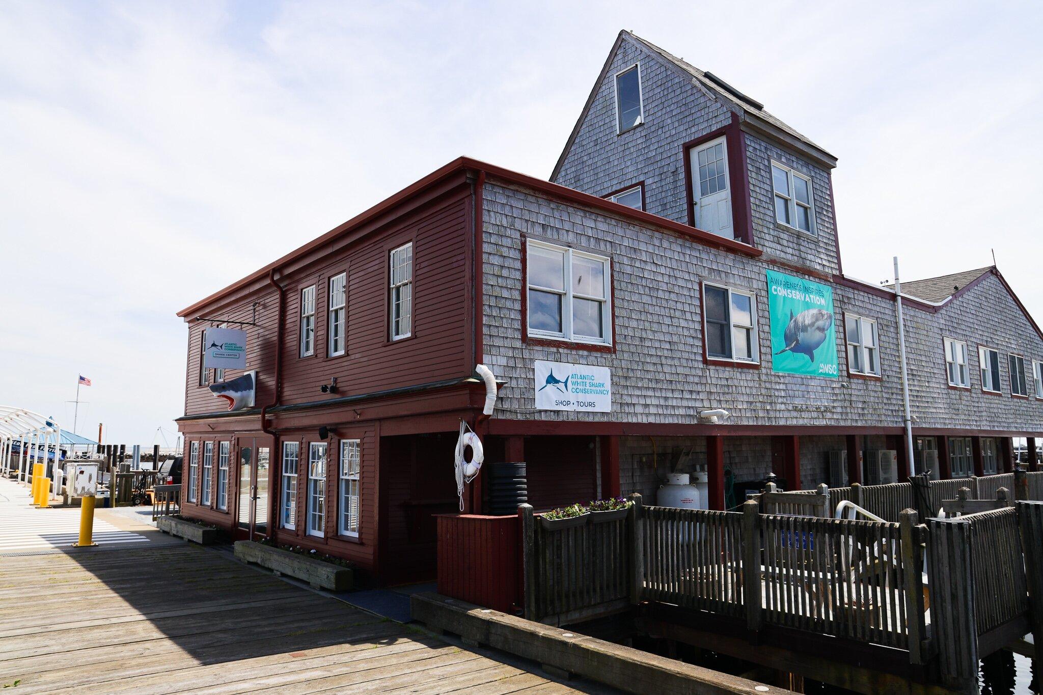 Awsc Shark Center Provincetown