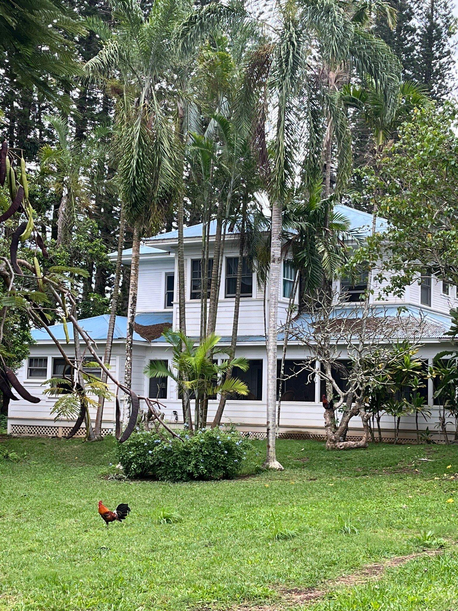 Photo by SusanLeahy12345