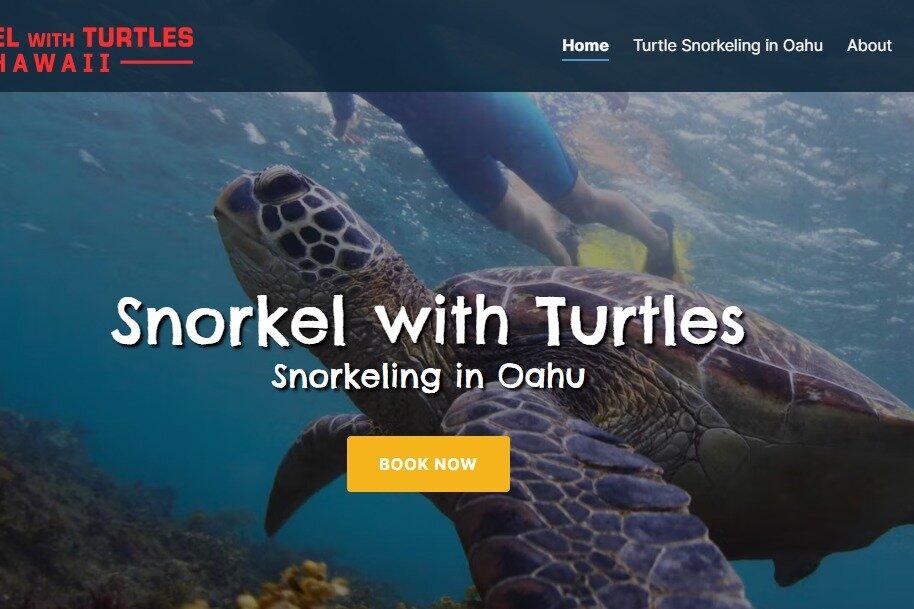 Oahu Turtle Snorkeling
