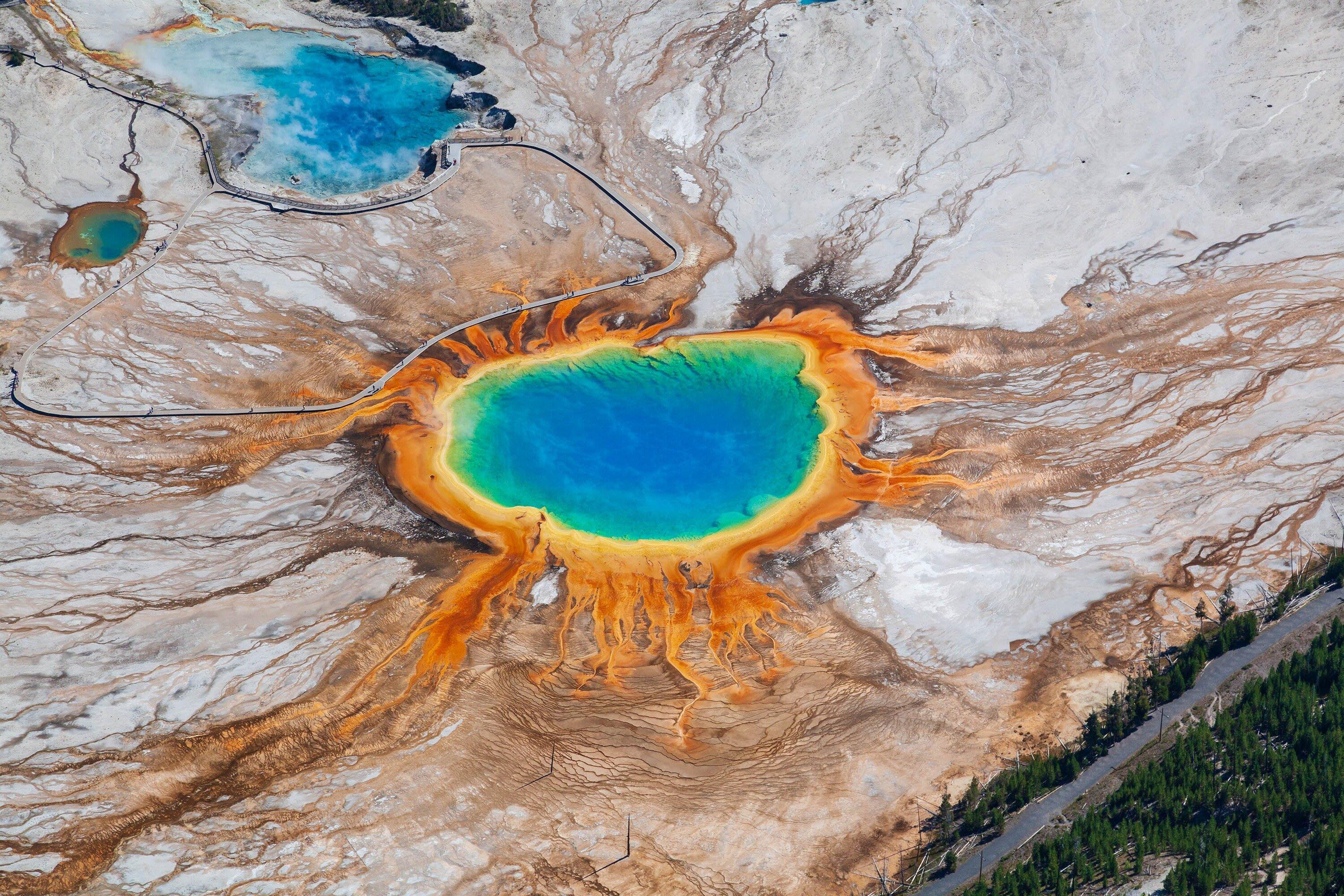 Yellowstone Safari Company