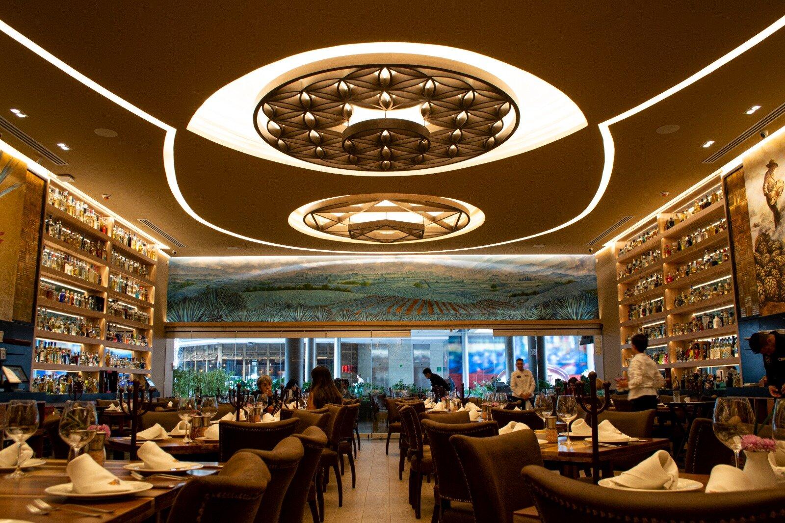 50 Friends Oasis Coyoacán