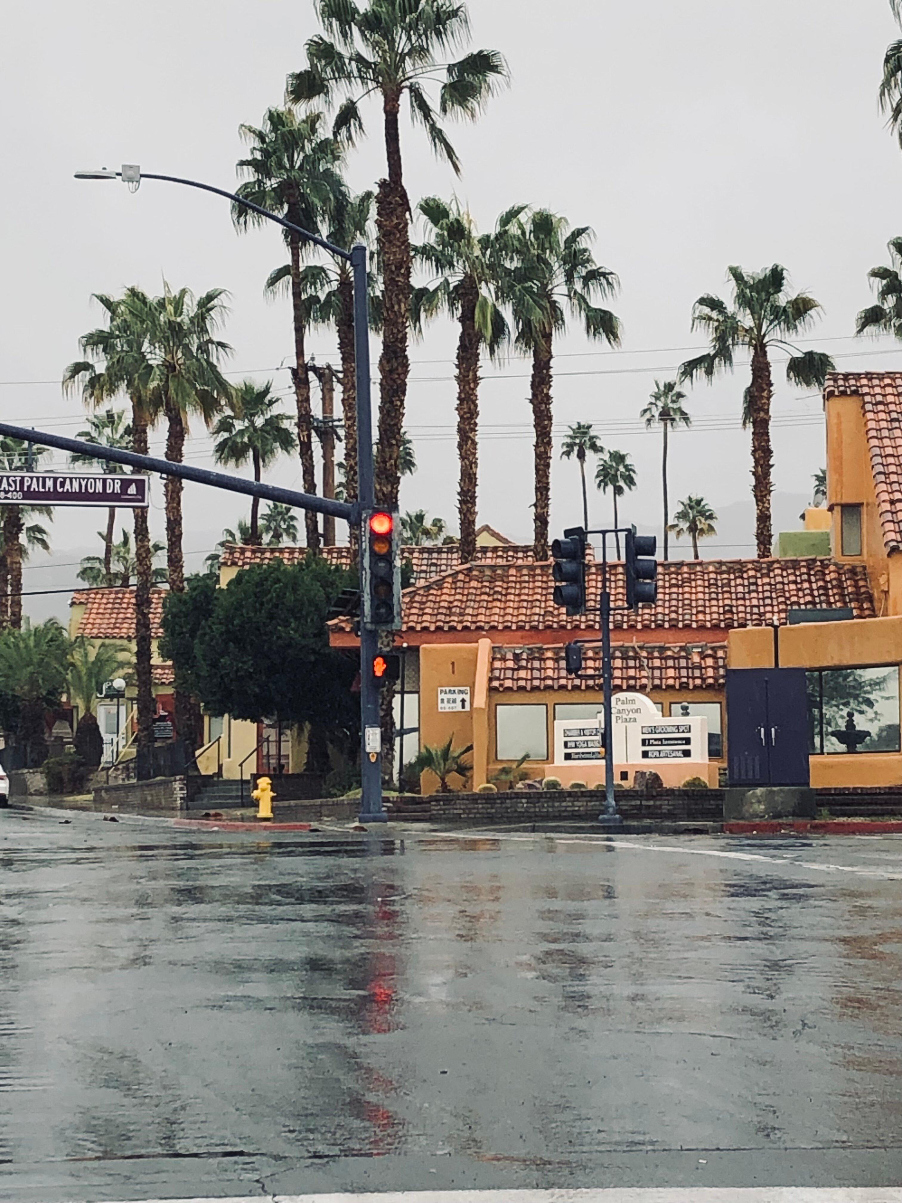 Photo by Sabastian R