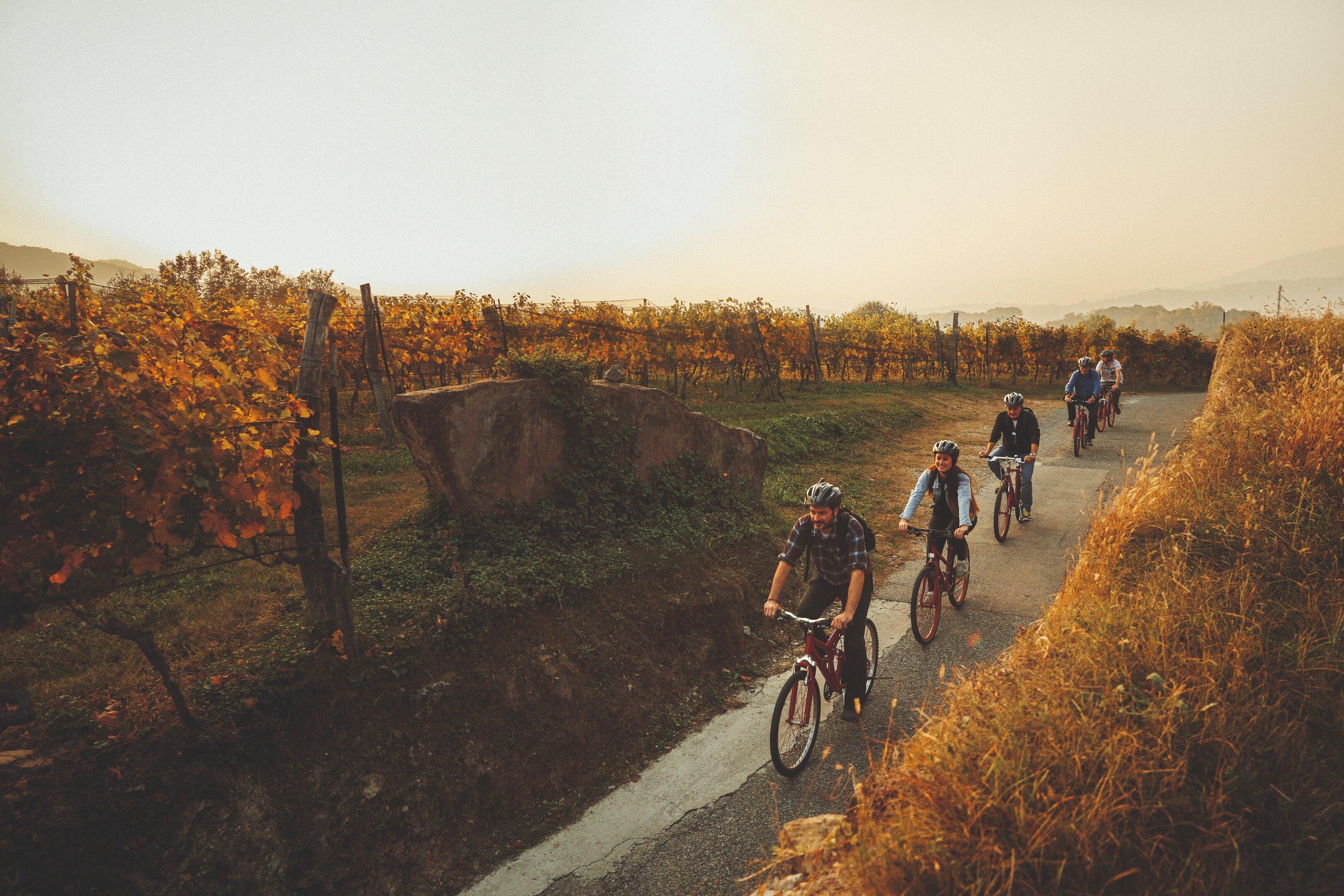 Mendrisiotto Terroir - Bike'n'Wine