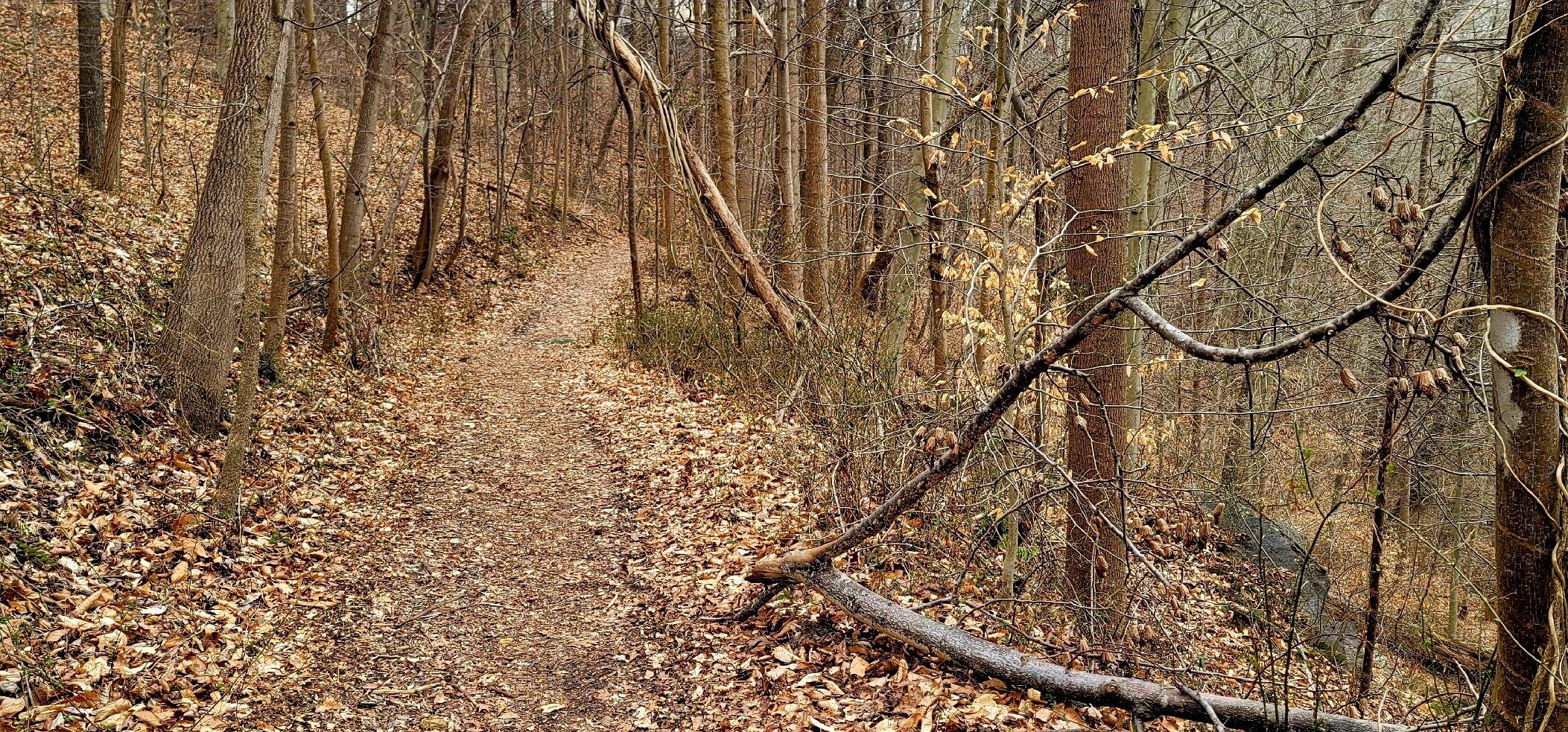 Winters Run Conservation Area And Trail